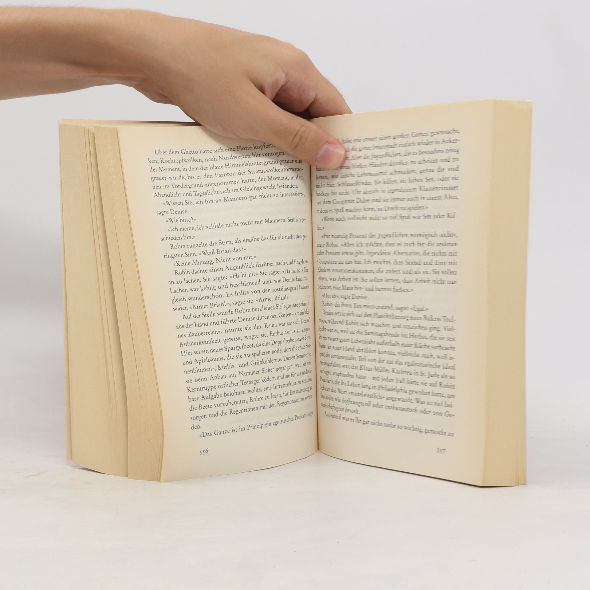 Jonathan Franzen Die Korrekturen : Roman