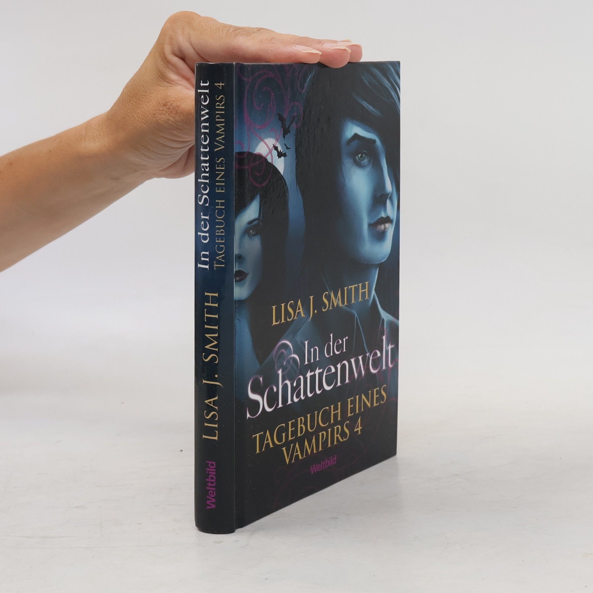 Tagebuch eines Vampirs 4. In der Schattenwelt