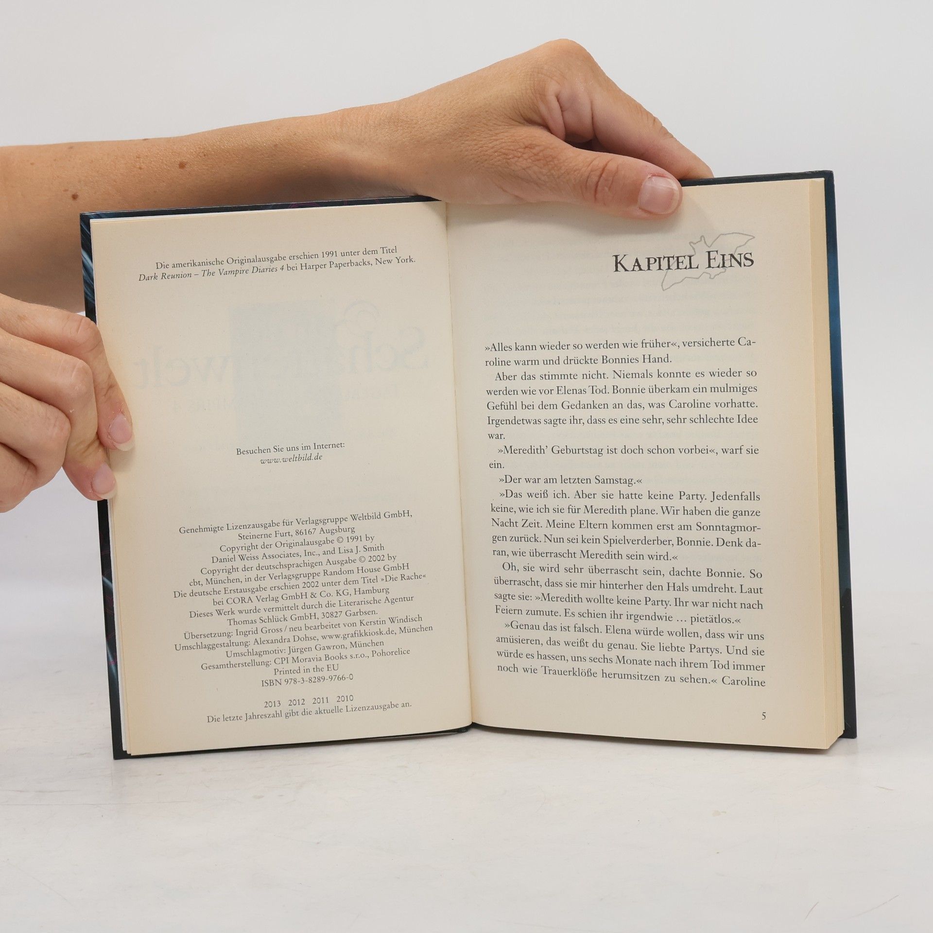 L. J. Smithová Tagebuch eines Vampirs 4. In der Schattenwelt