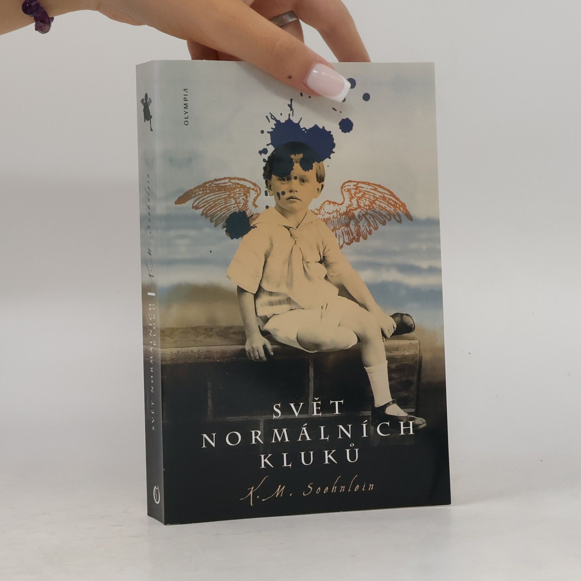 K. M. Soehnlein Svět normálních kluků