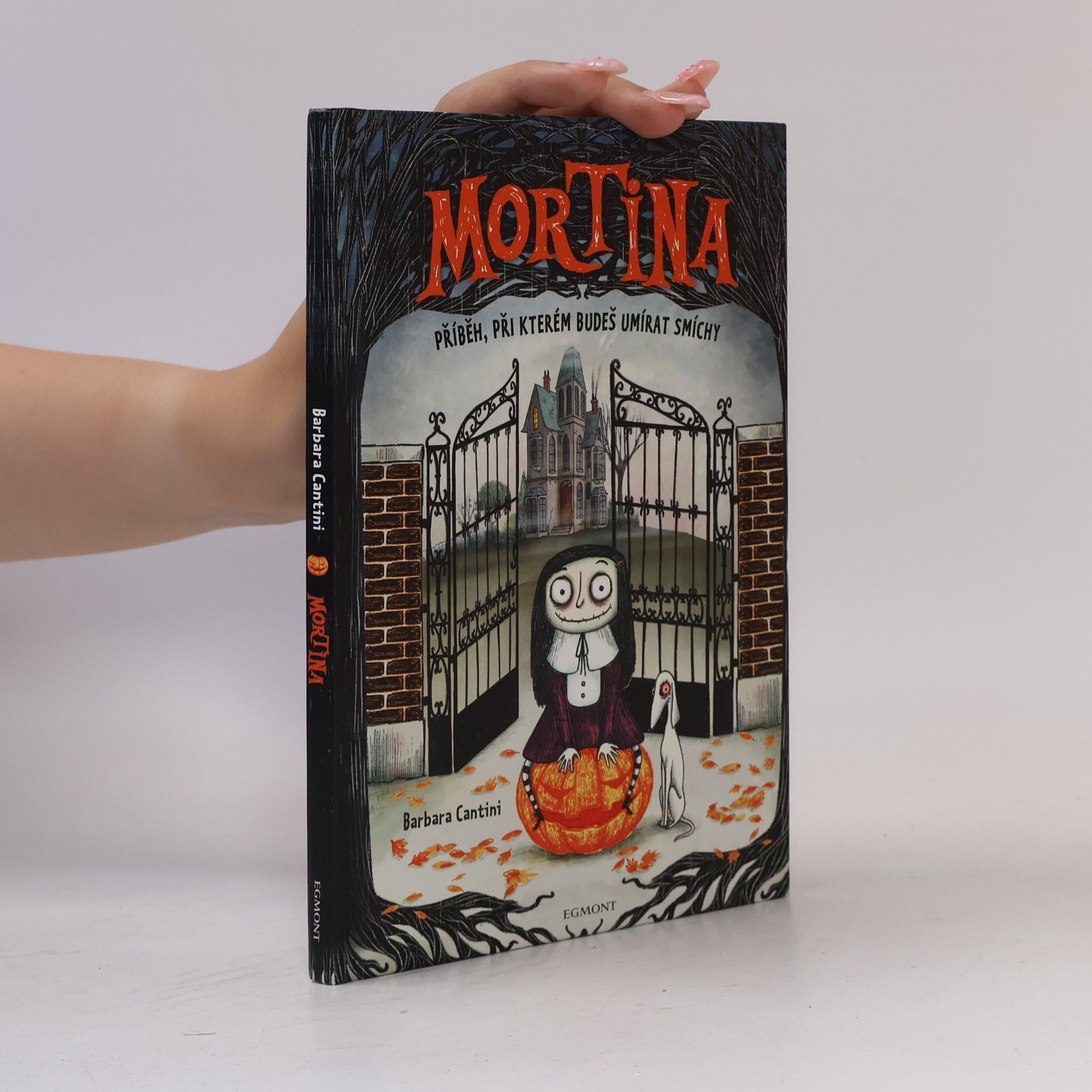 Barbara Cantini Mortina