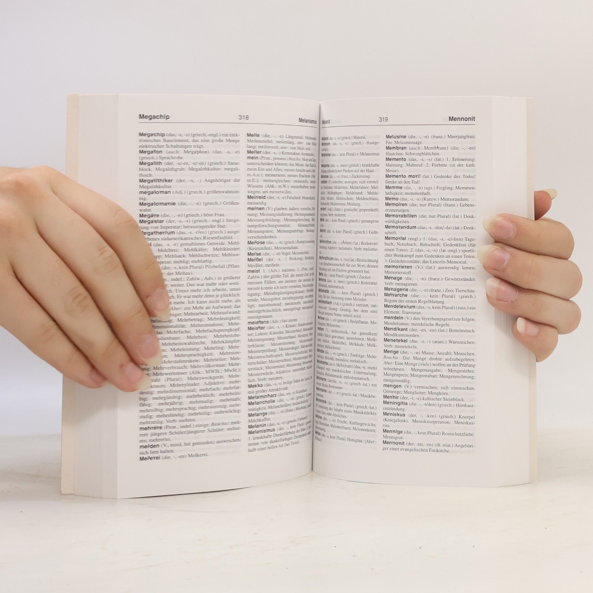 Ilse Hell Grosses Wörterbuch deutsche Rechtschreibung