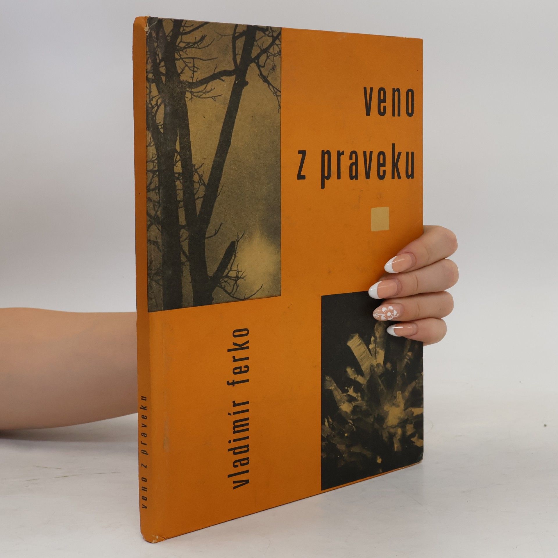 Vladimír Ferko Veno z praveku