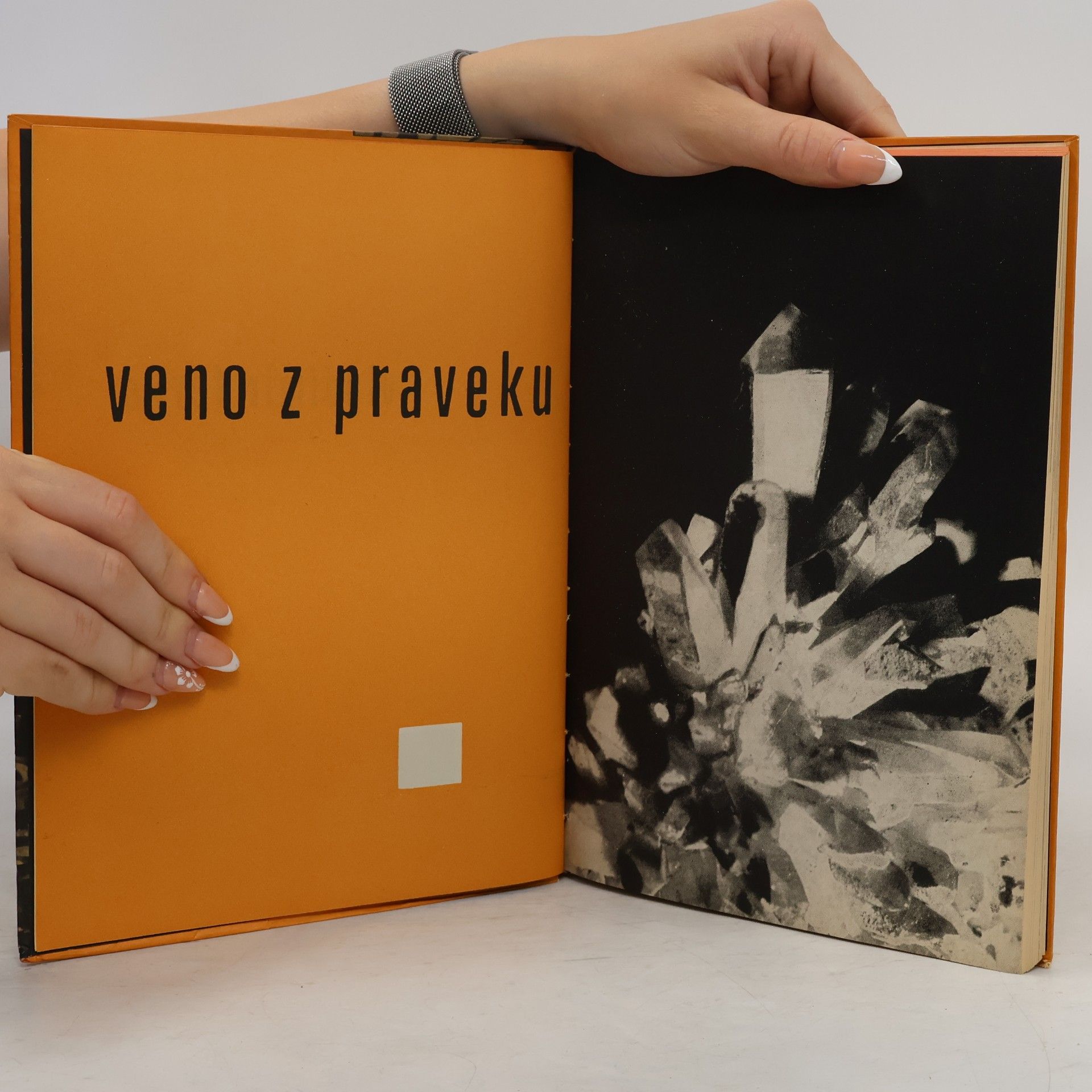 Vladimír Ferko Veno z praveku