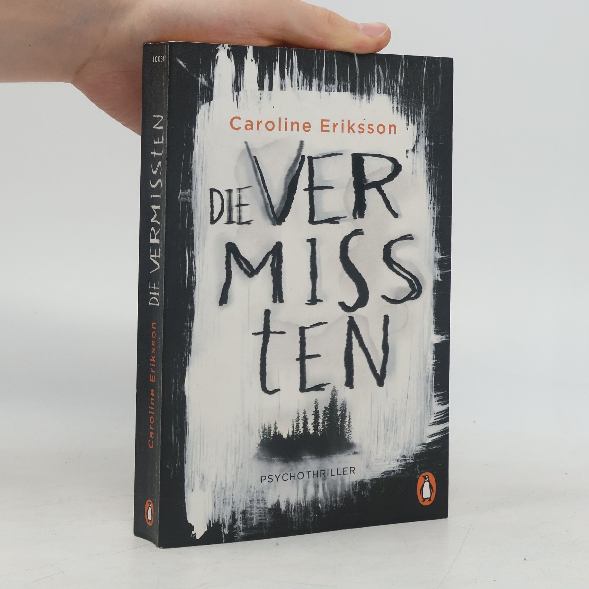 Caroline Eriksson Die Vermissten