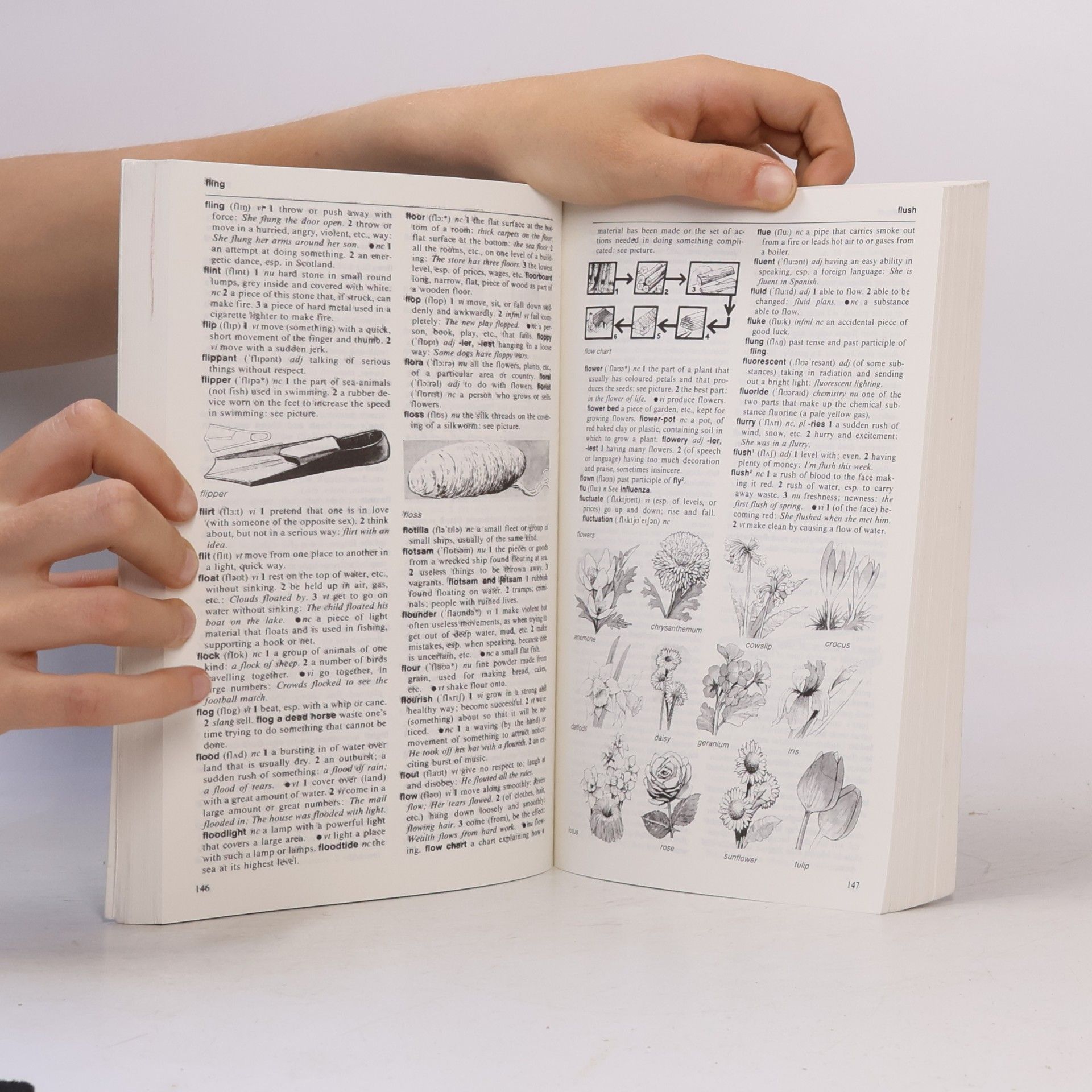 Macmillan Learner's Dictionary