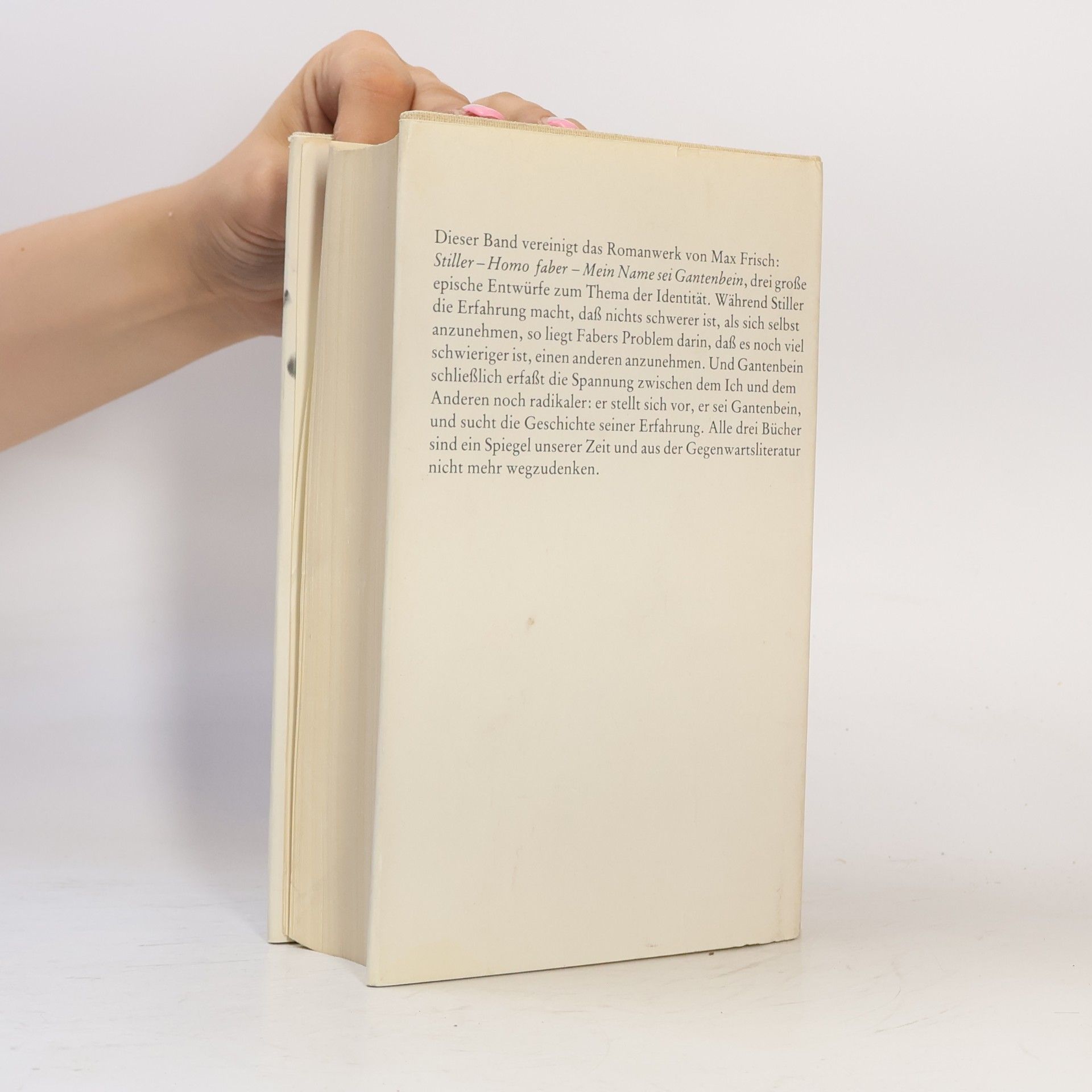 Max Frisch Die Romane