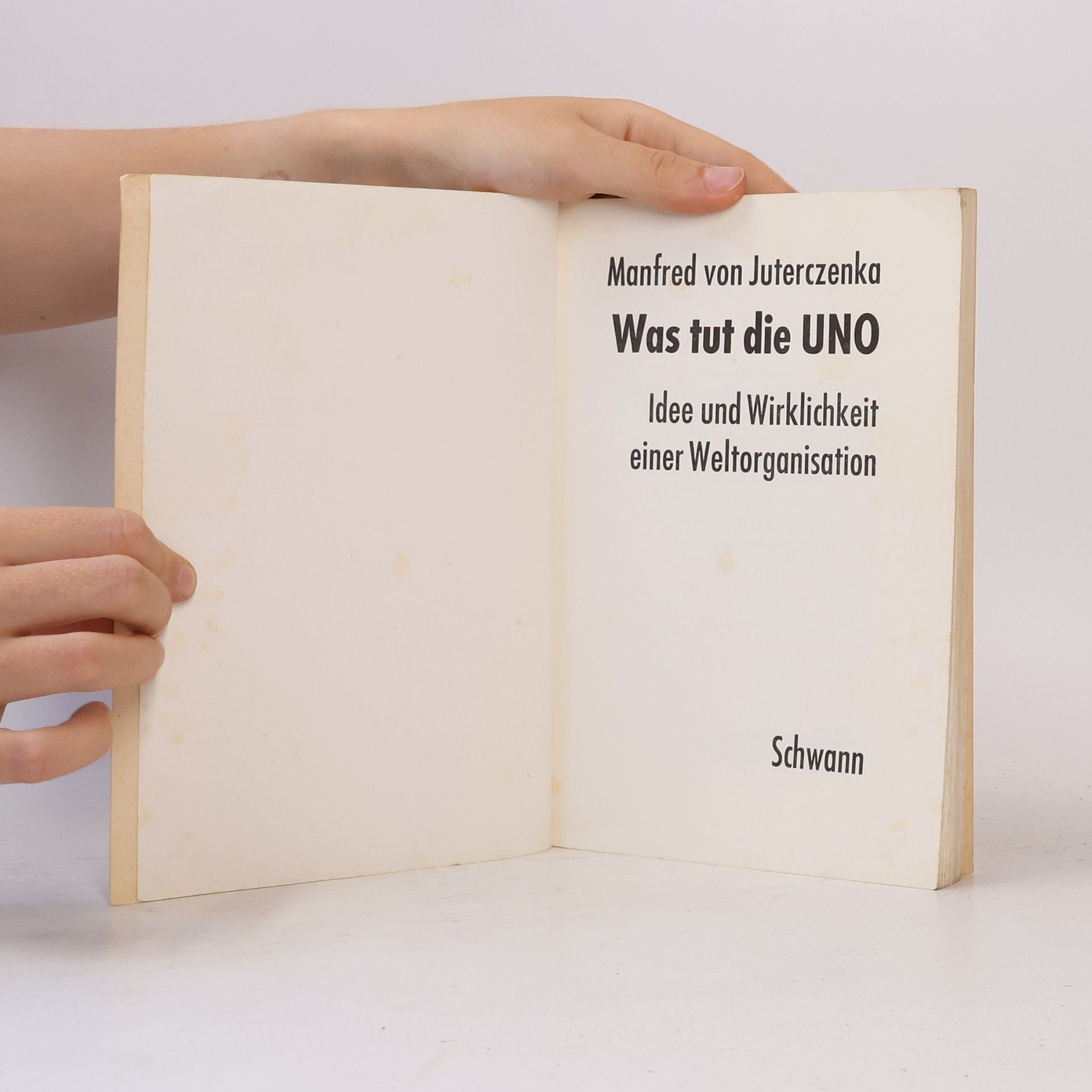 Manfred von Juterczenka Was tut die UNO