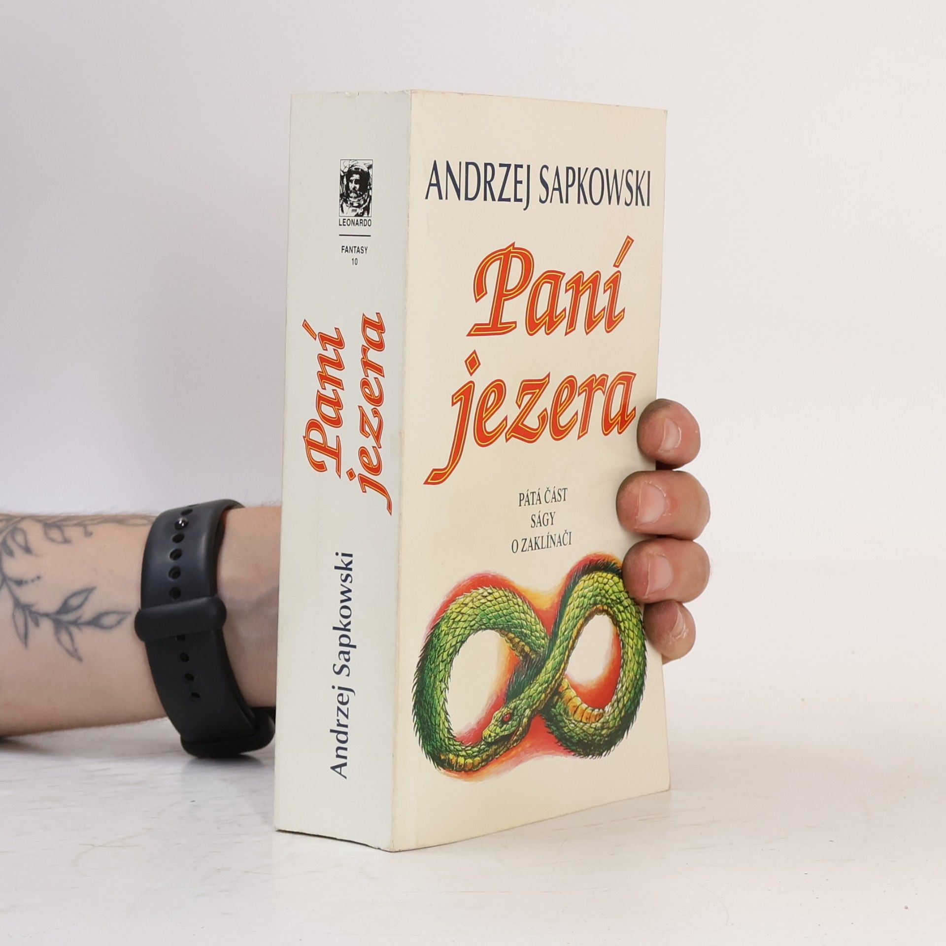 Andrzej Sapkowski Paní jezera
