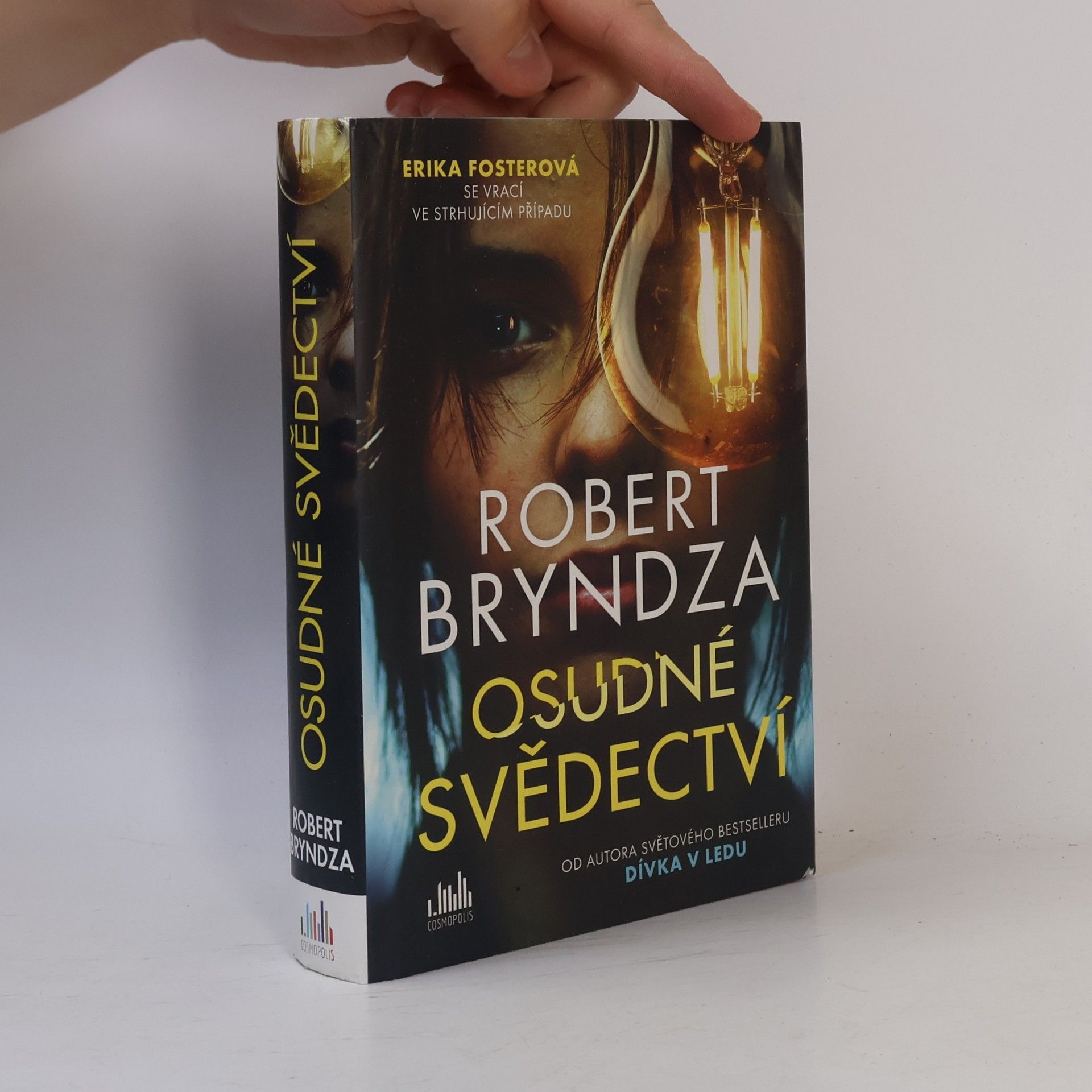 Robert Bryndza Osudné svědectví