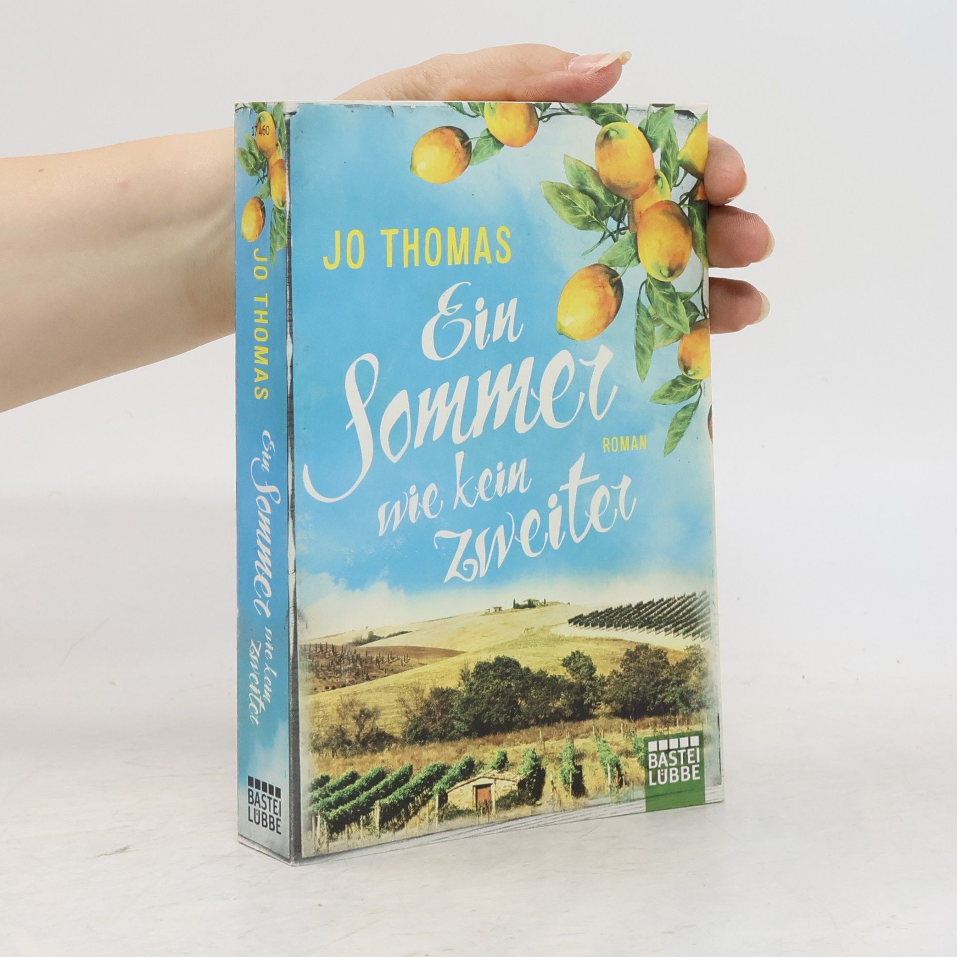 Jo Thomas Ein Sommer wie kein zweiter