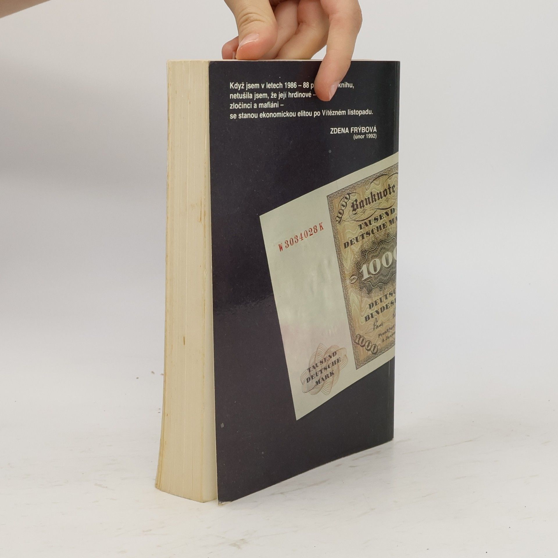 Zdena Frýbová Mafie po česku