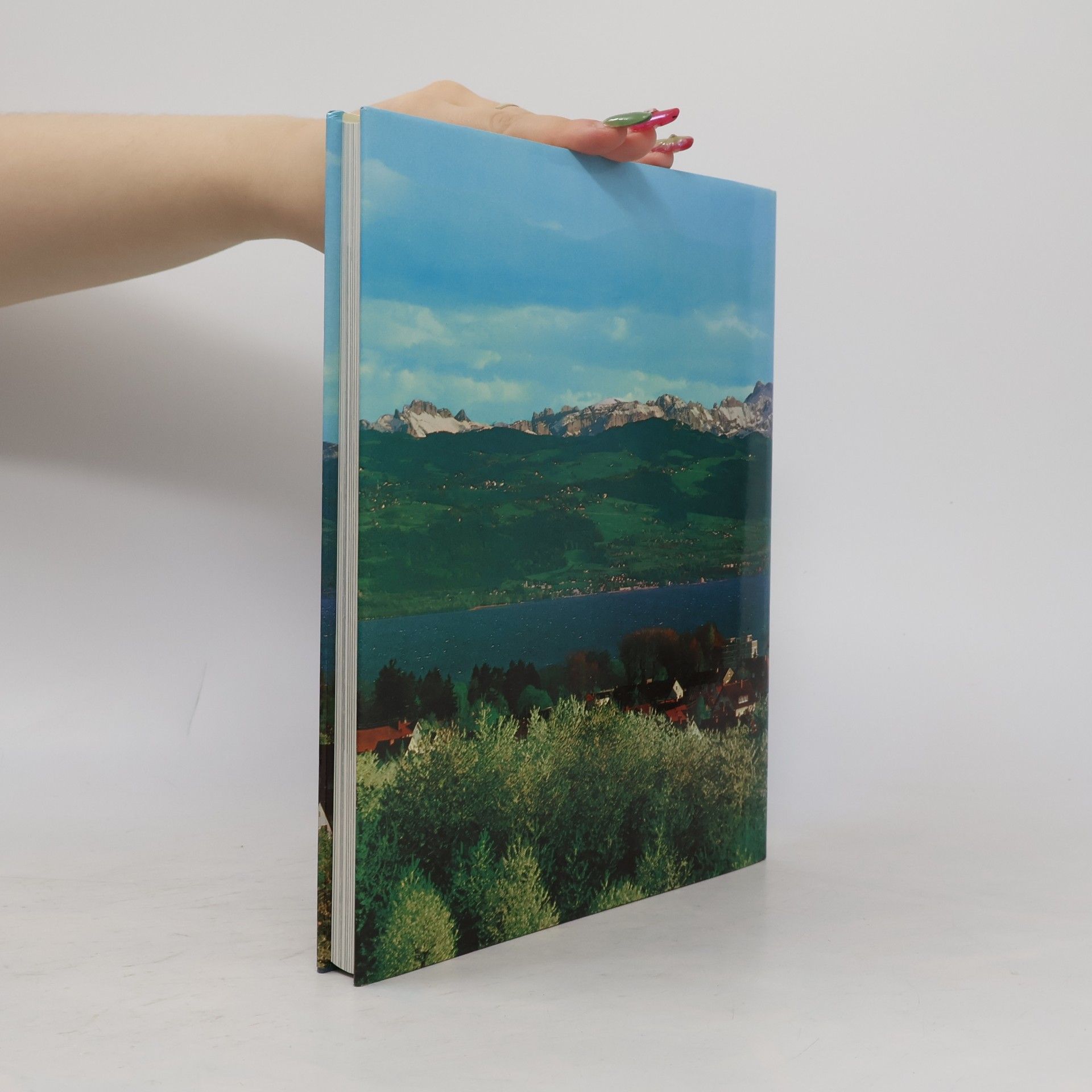 Peter Faessler Der Bodensee