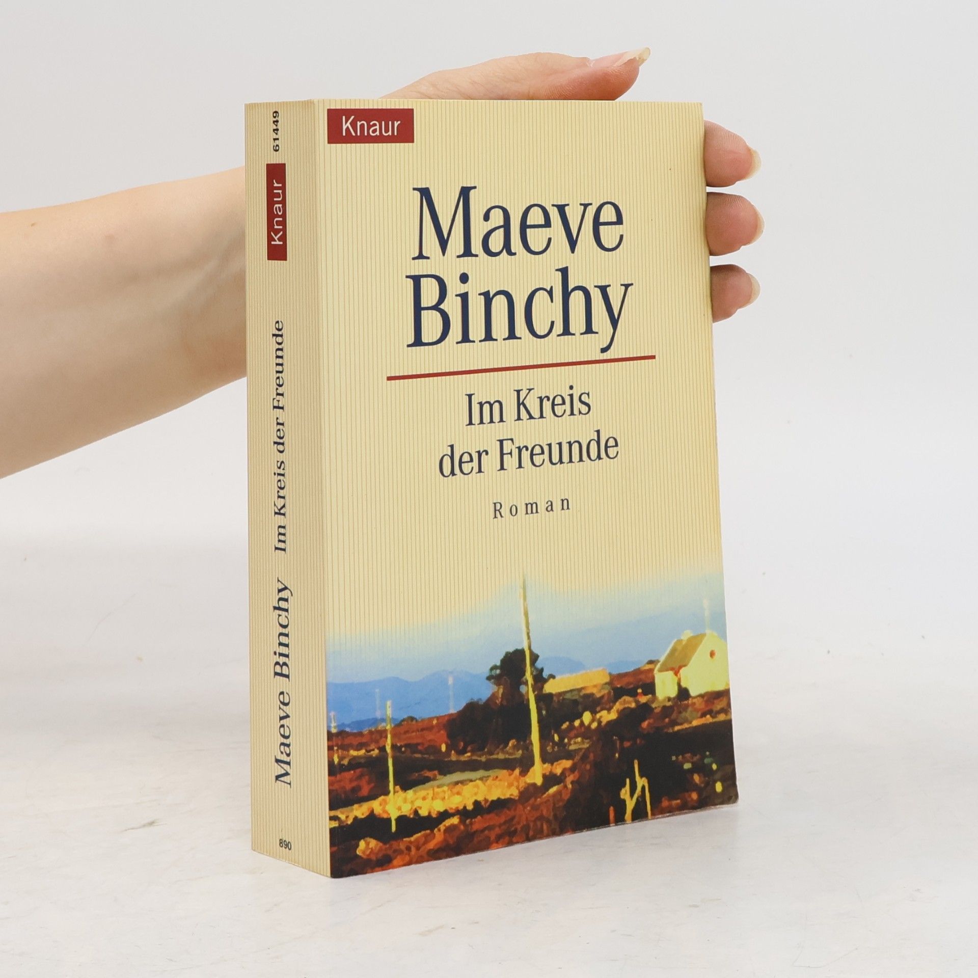 Maeve Binchy Im Kreis der Freunde