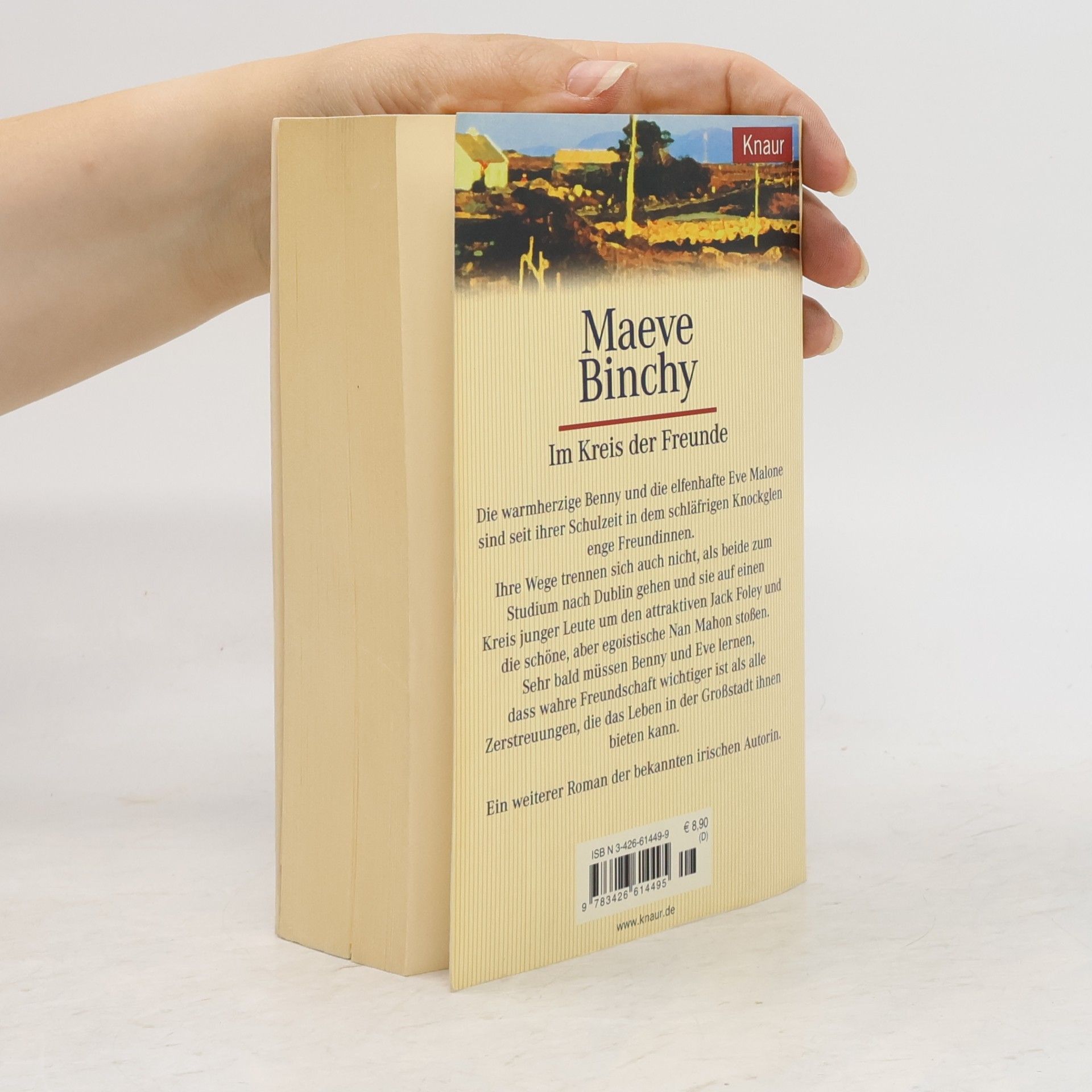 Maeve Binchy Im Kreis der Freunde