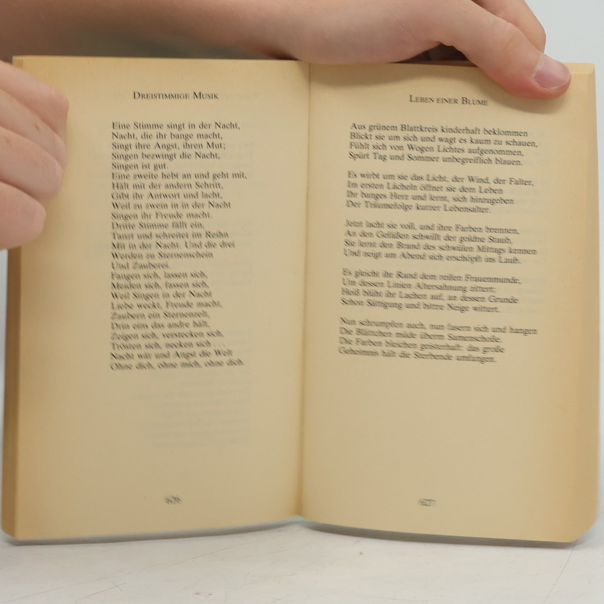 Hermann Hesse Die Gedichte