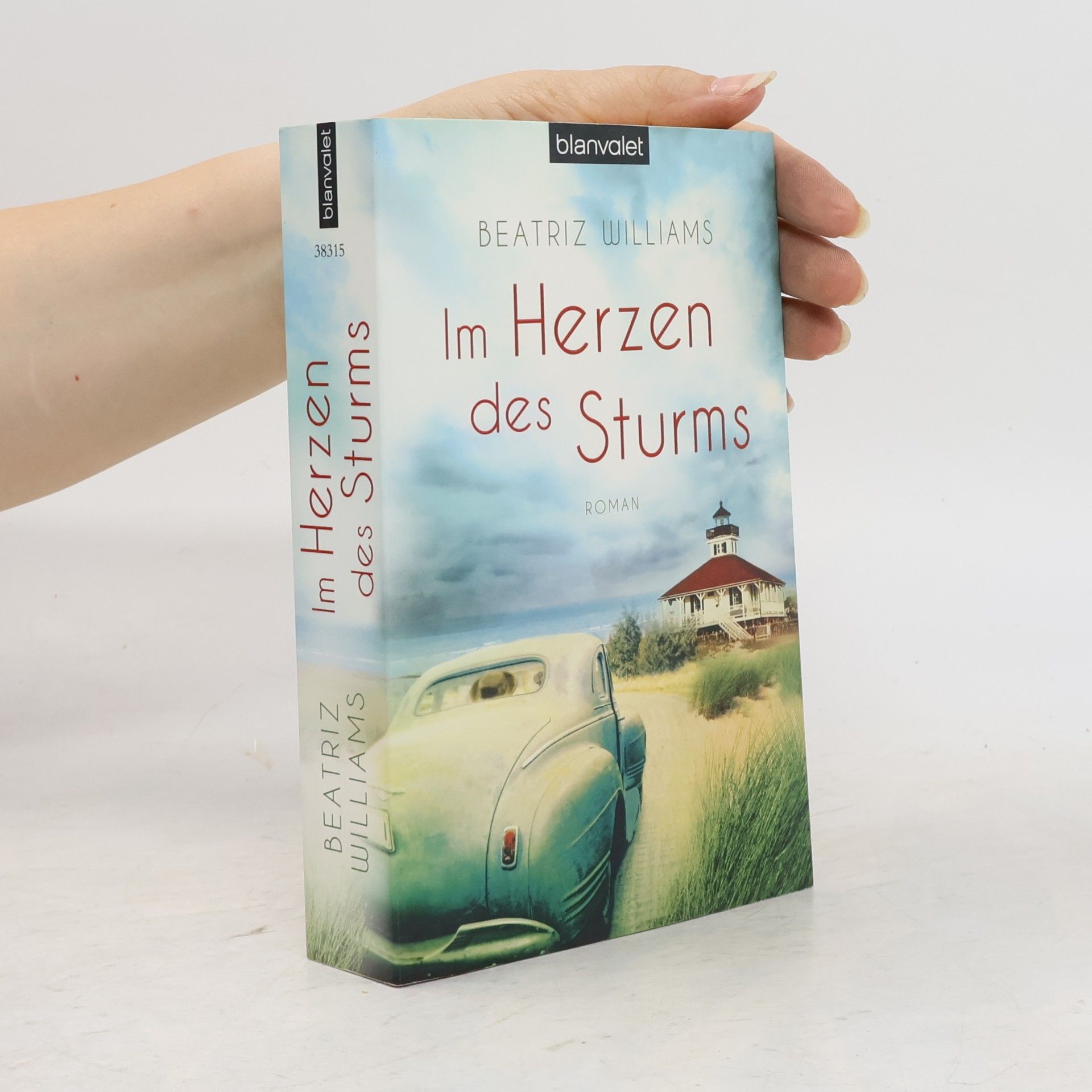 Beatriz Williams Im Herzen des Sturms