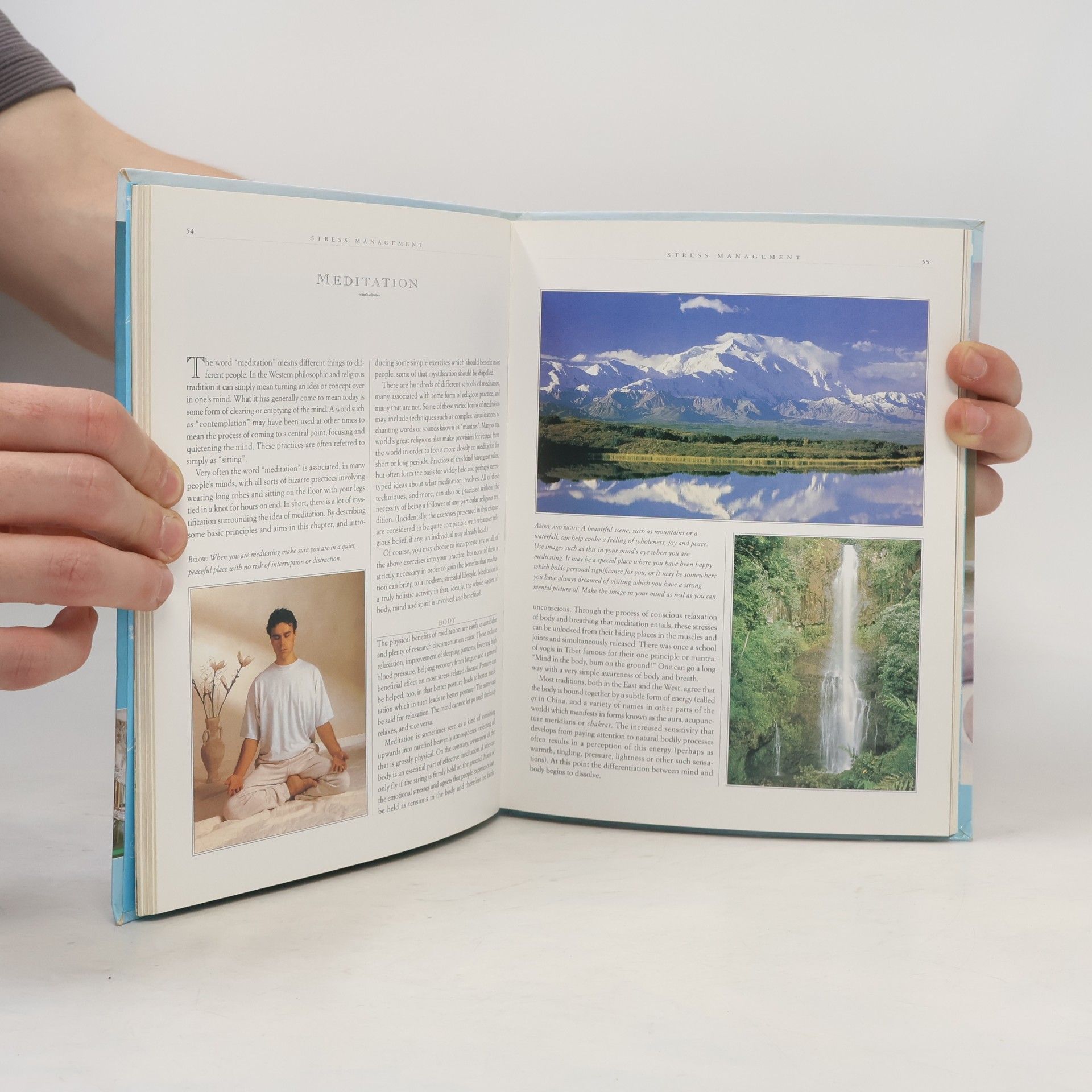 Mark Evans Natural Healing Handbook: A Guide to Alternative Therapies