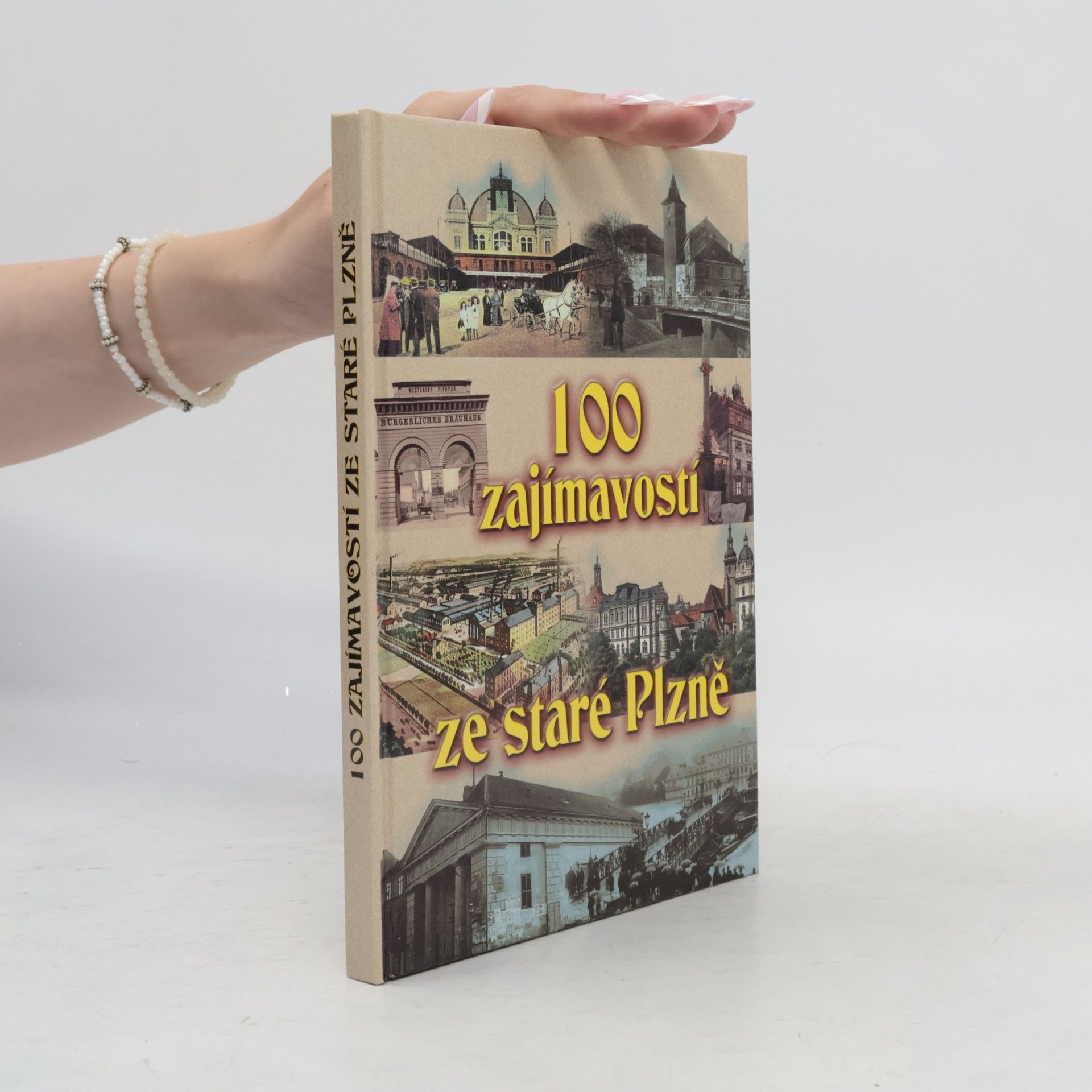 Petr Mazný 100 zajímavostí ze staré Plzně