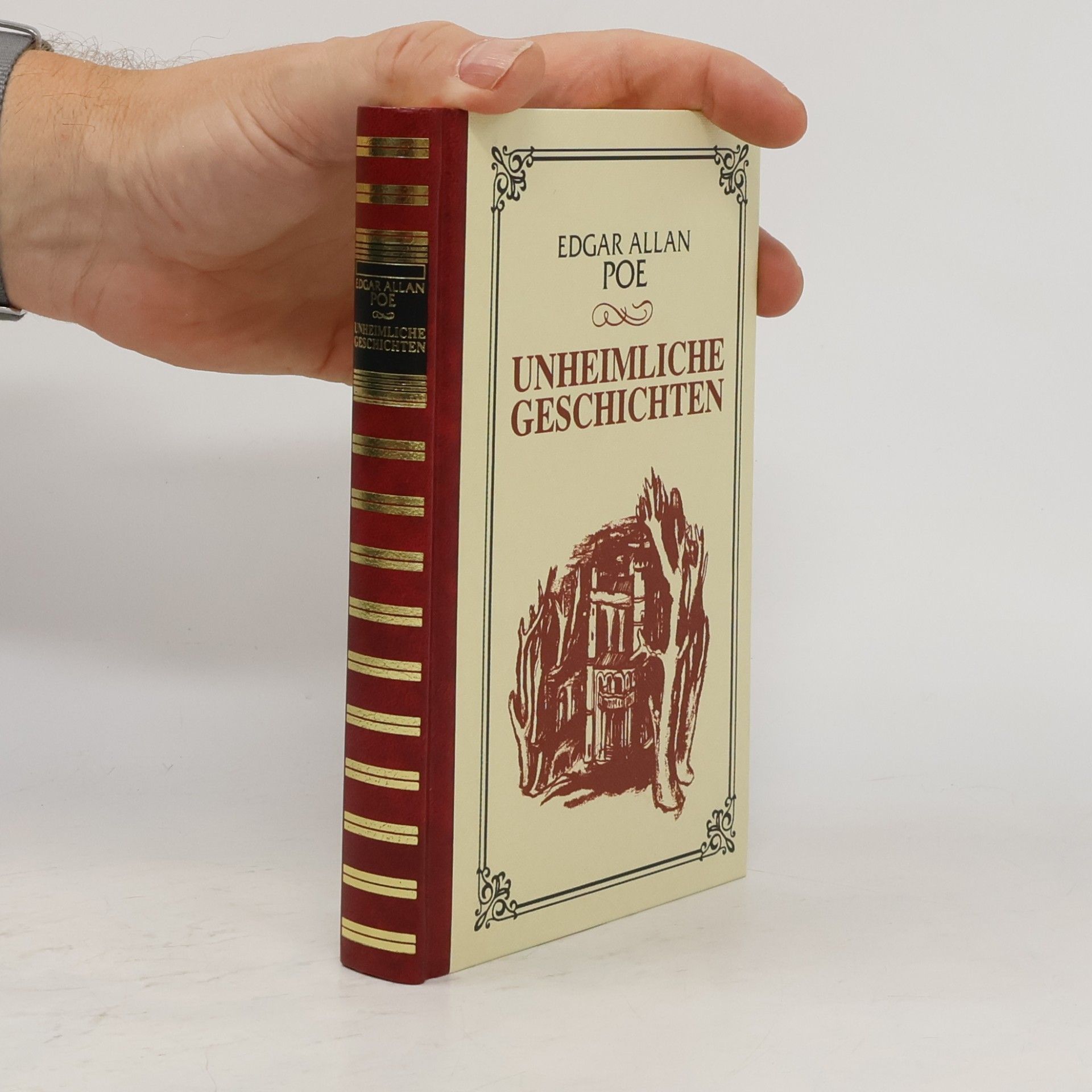 Edgar Allan Poe Unheimliche Geschichten
