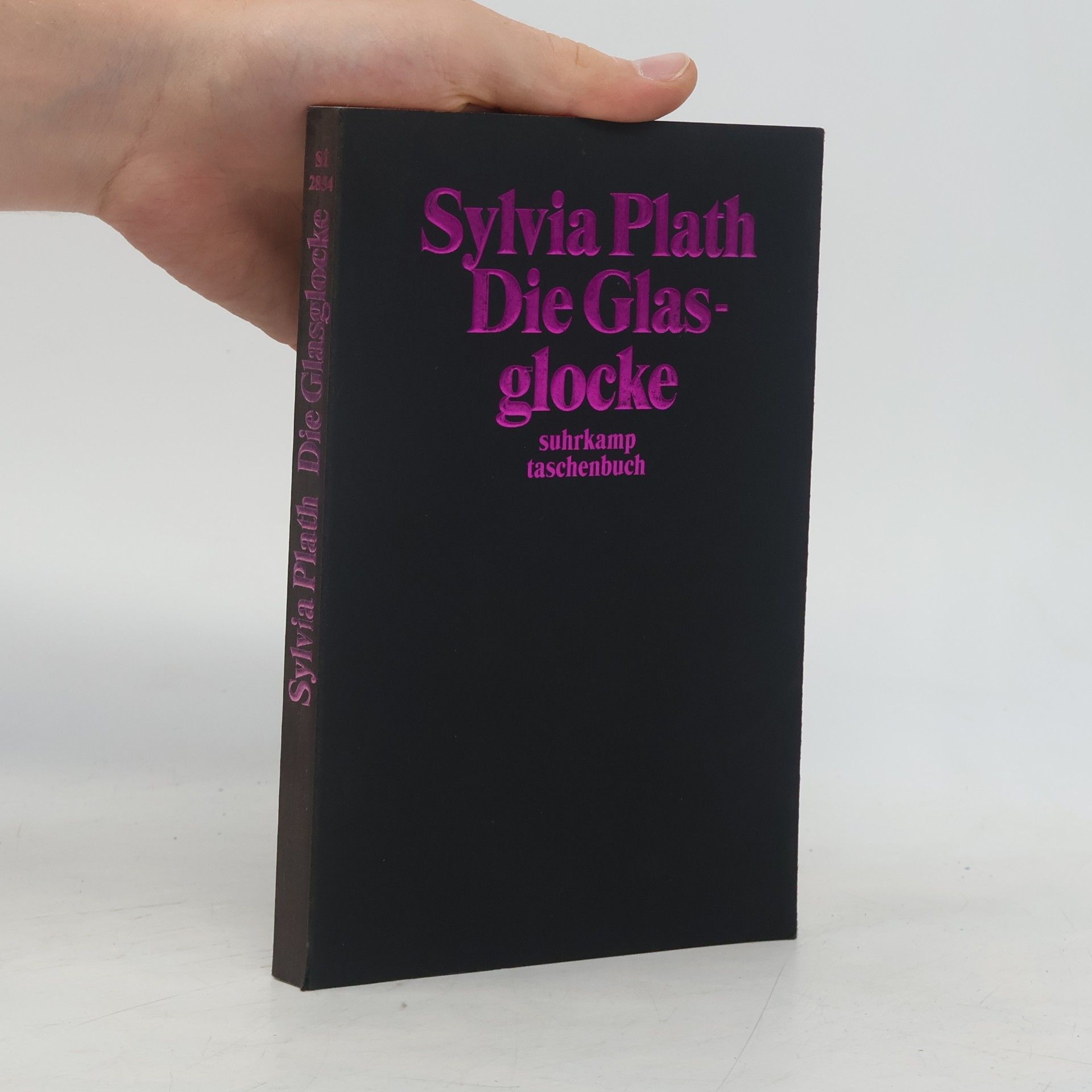 Sylvia Plath Die Glasglocke