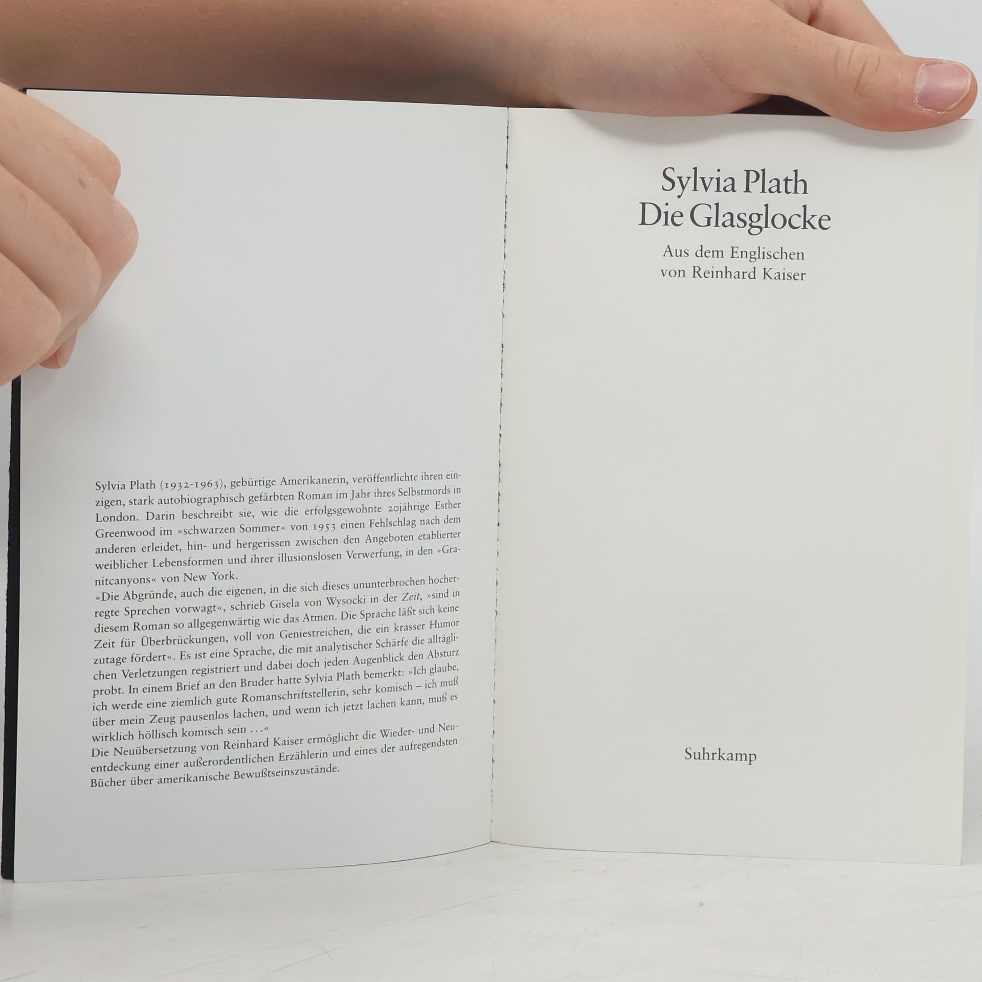 Sylvia Plath Die Glasglocke
