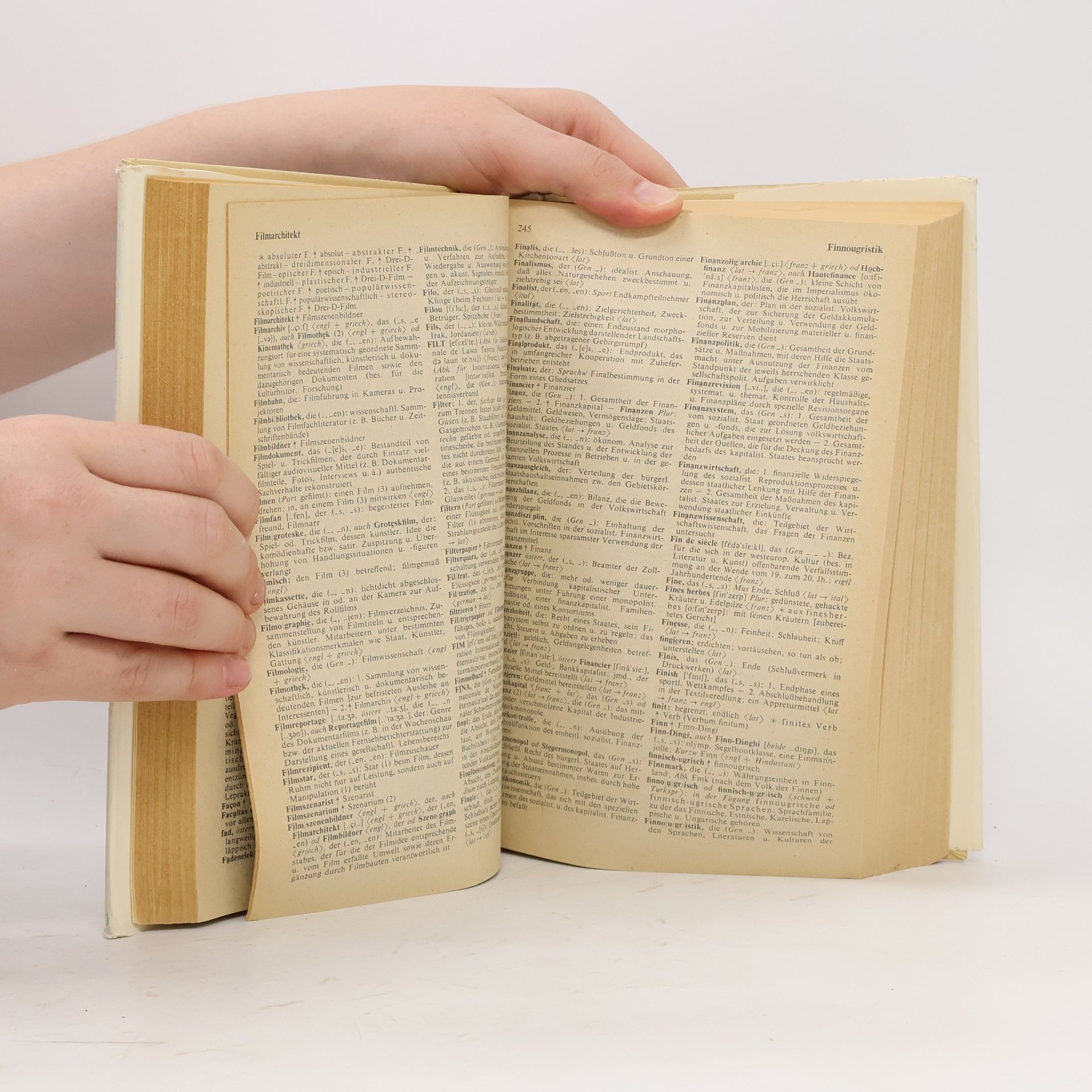 Collectif d'auteurs Großes Fremdwörterbuch