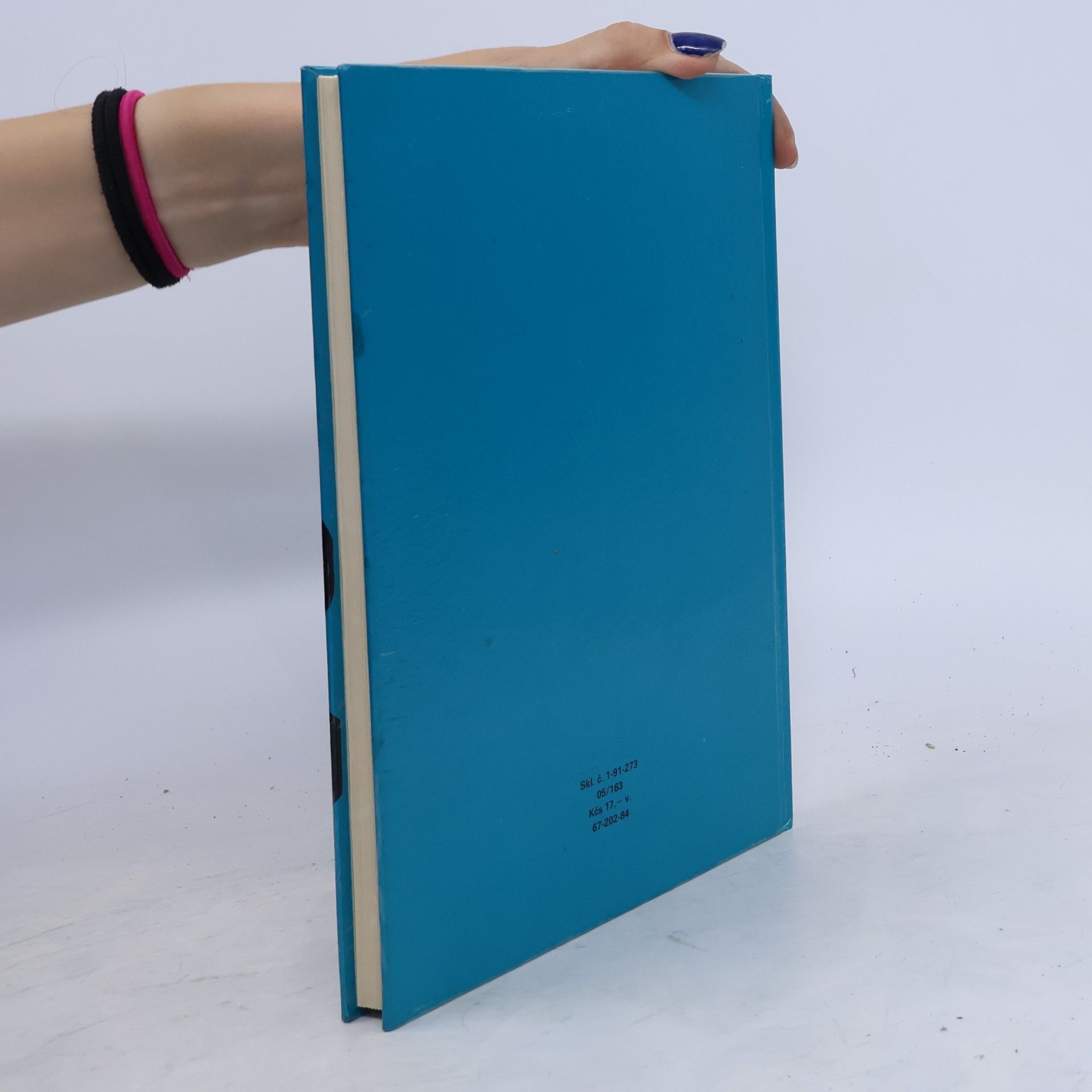 Collectif d'auteurs Estetika odievania