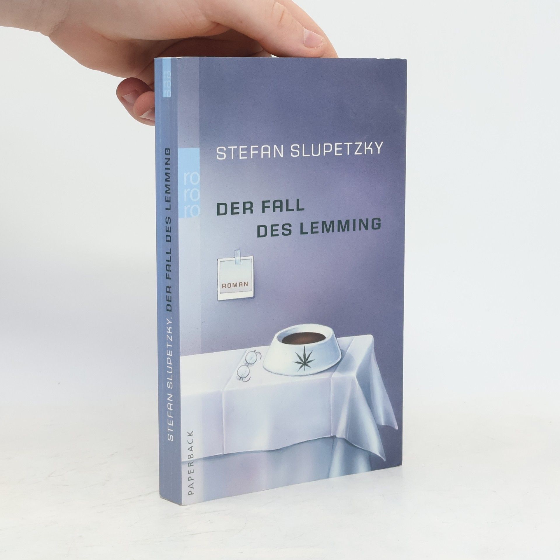 Stefan Slupetzky Der Fall des Lemming