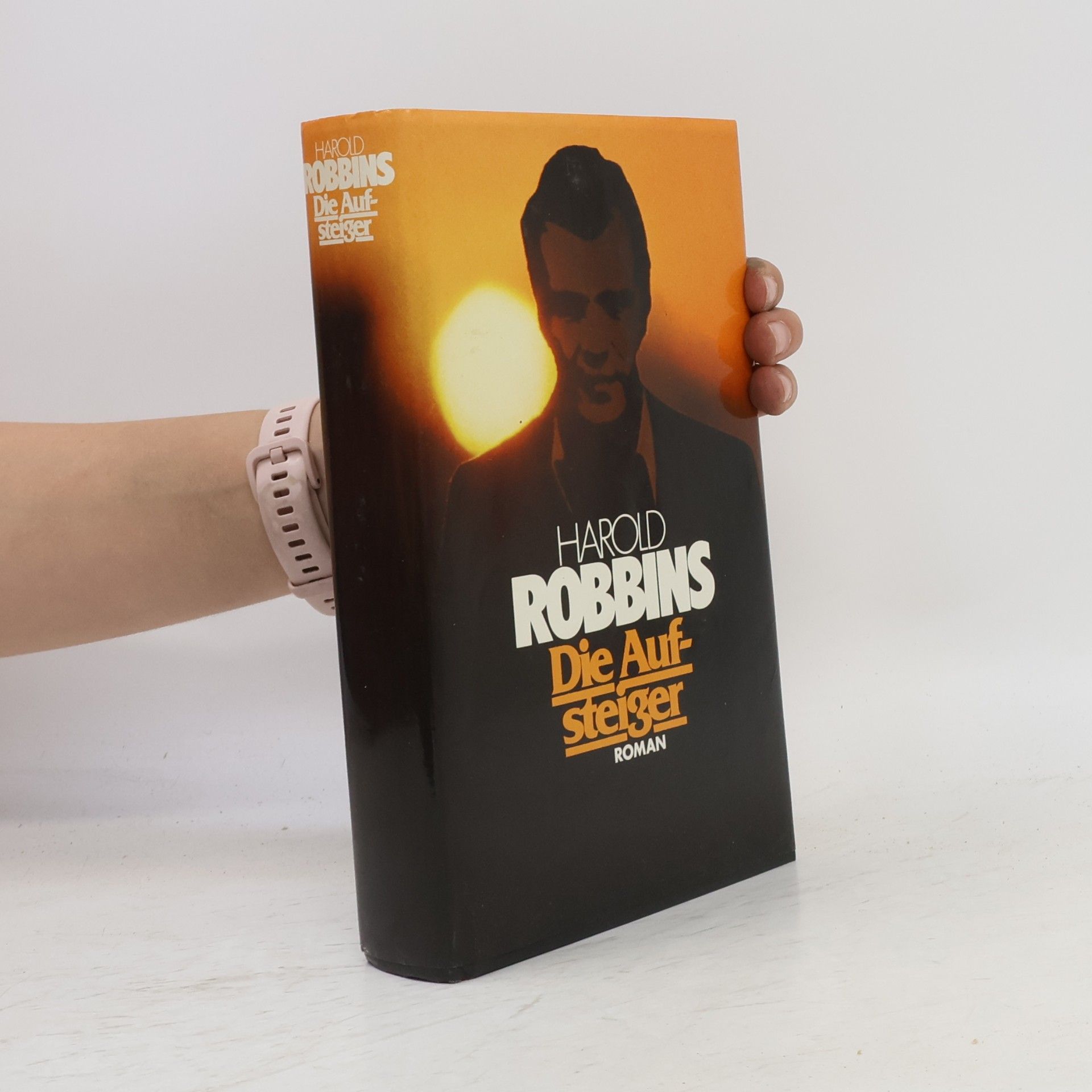 Harold Robbins Die Aufsteiger