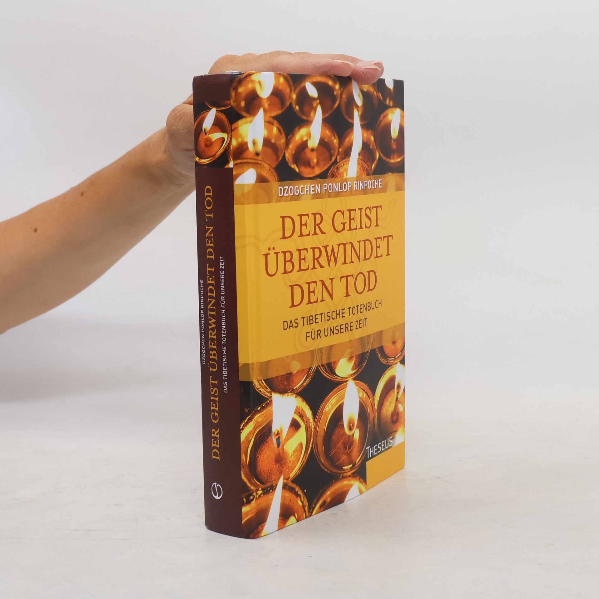 Dzogchen Ponlop Rinpoche Der Geist überwindet den Tod