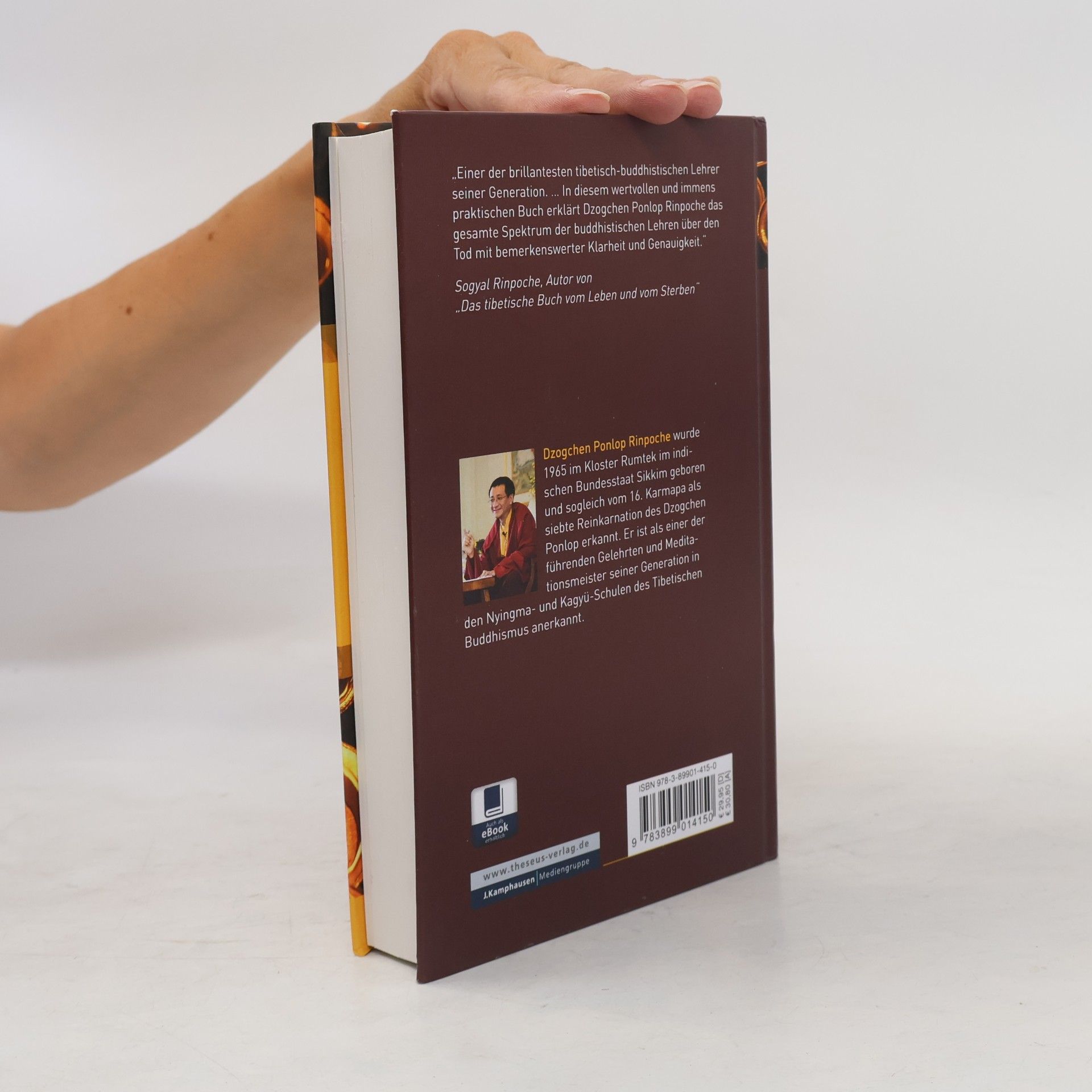 Dzogchen Ponlop Rinpoche Der Geist überwindet den Tod