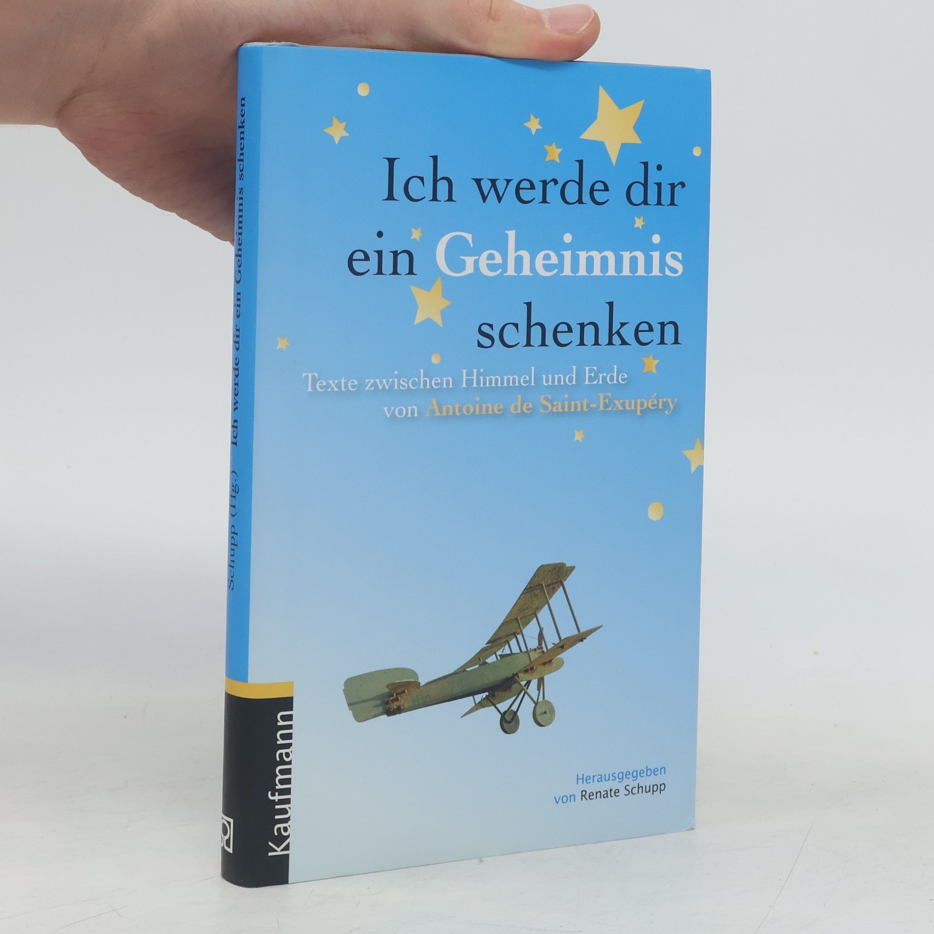 Renate Schupp Ich werde dir ein Geheimnis schenken
