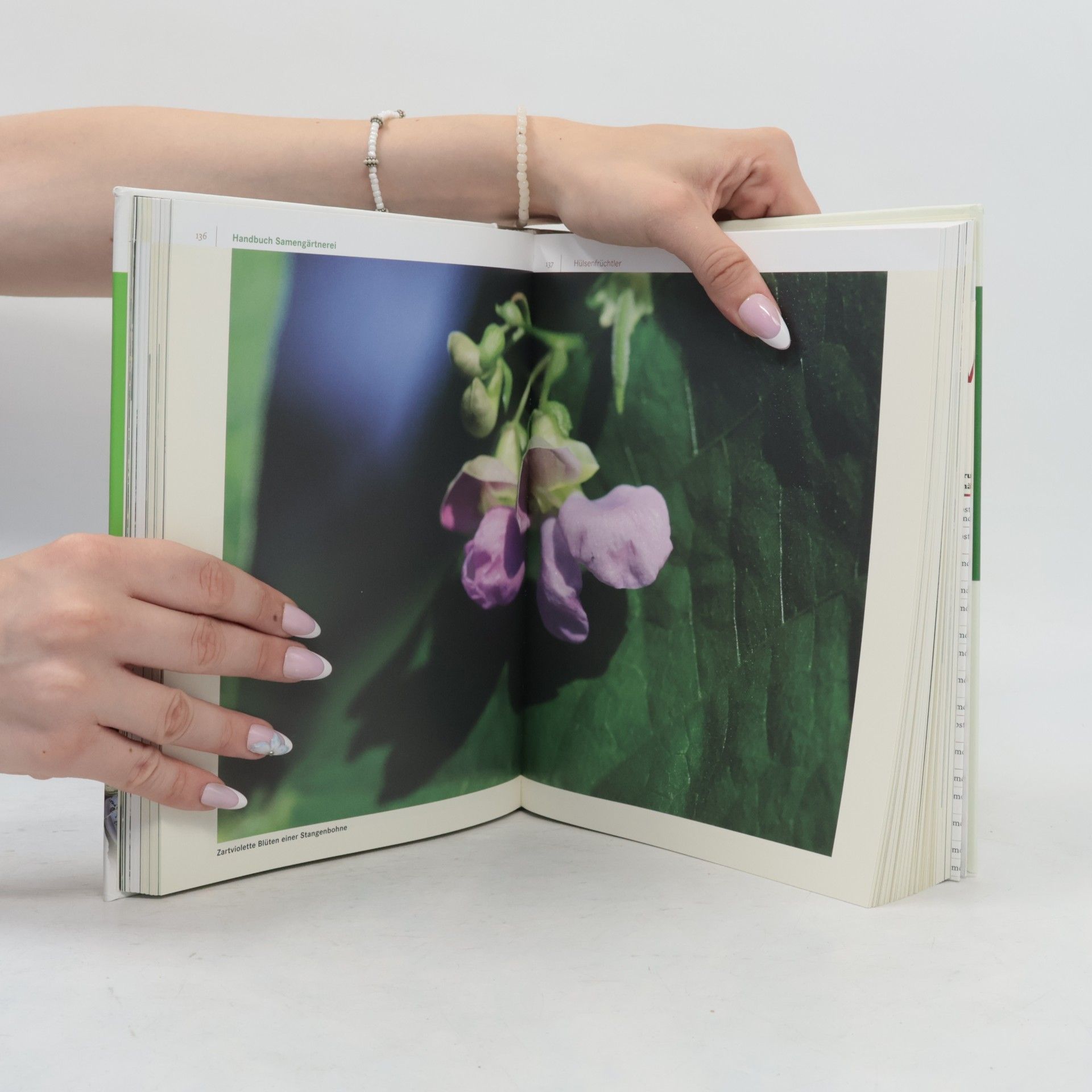 Andrea Heistinger Handbuch Samengärtnerei