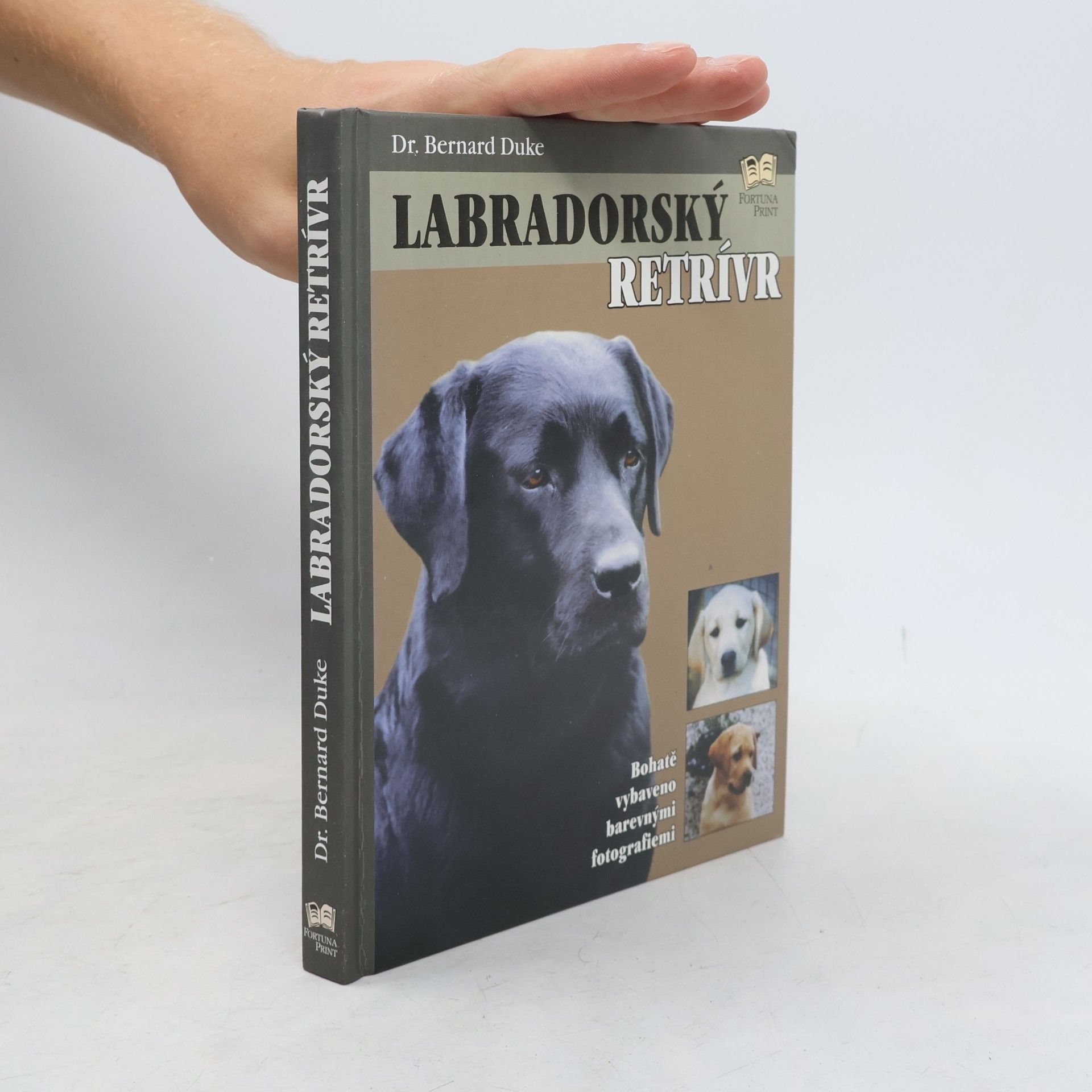 Bernard Duke Labradorský retrívr