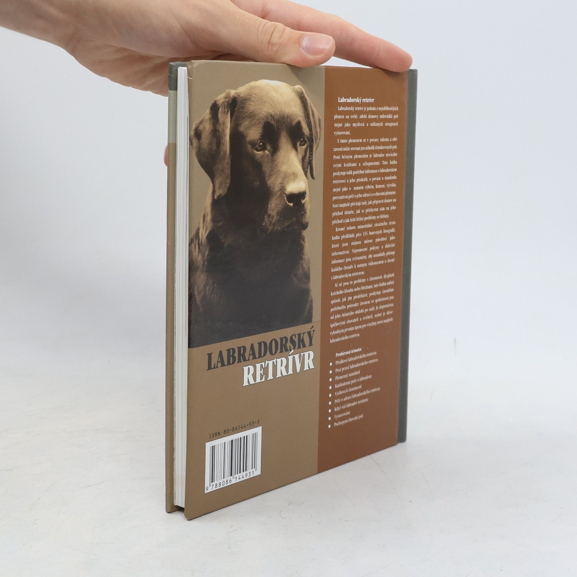 Bernard Duke Labradorský retrívr