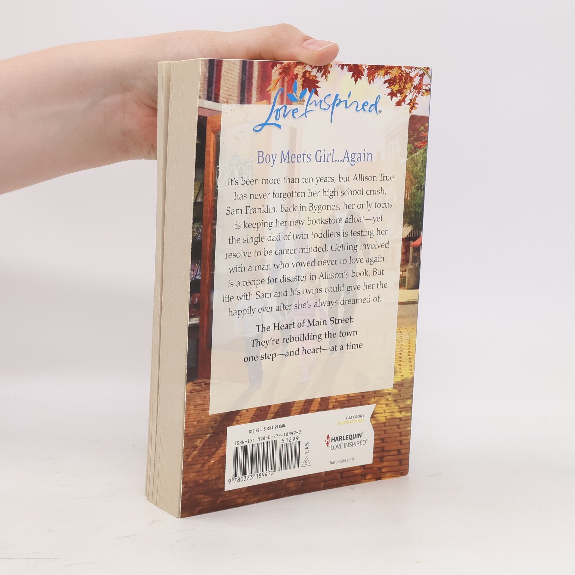Lissa Manley Love Inspired/The Heart of Main Street: Storybook Romance - True Large Print