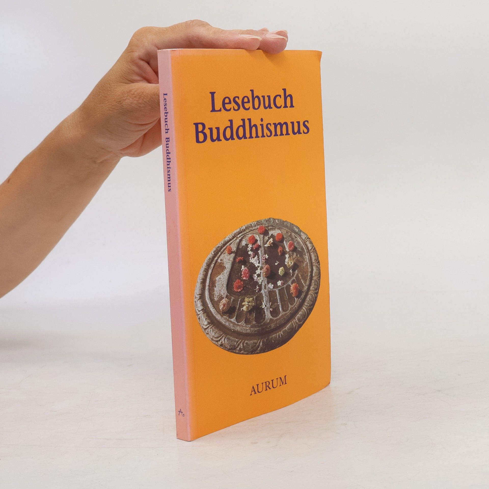 Autorenkollektiv Lesebuch Buddhismus
