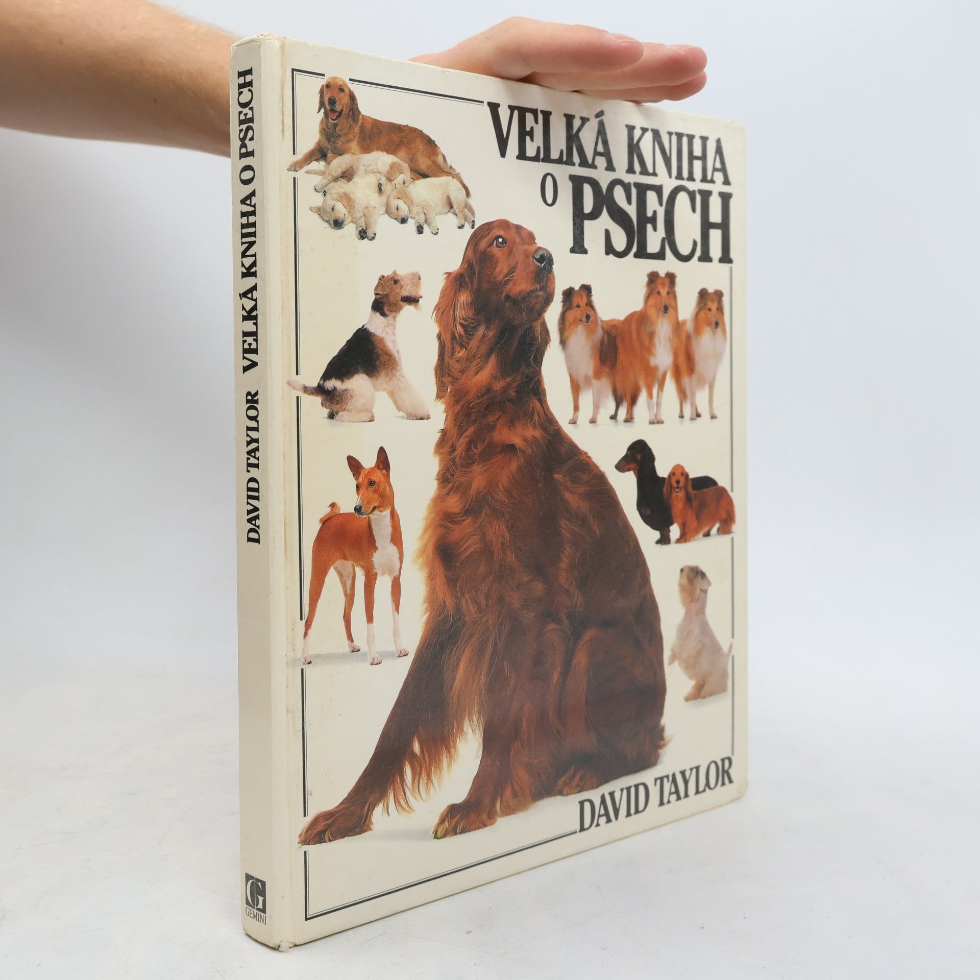 David Conrad Taylor Velká kniha o psech