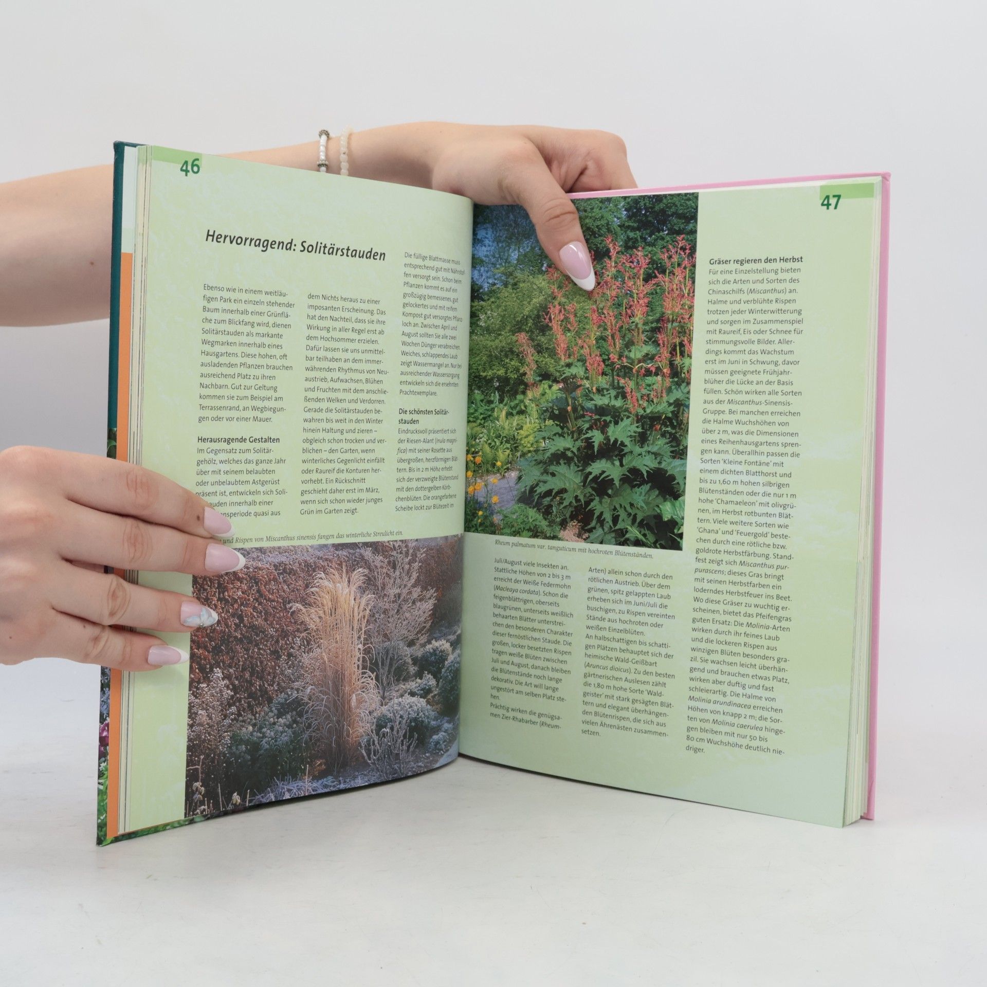 Agnes Pahler Schnell und einfach zum Gartenparadies