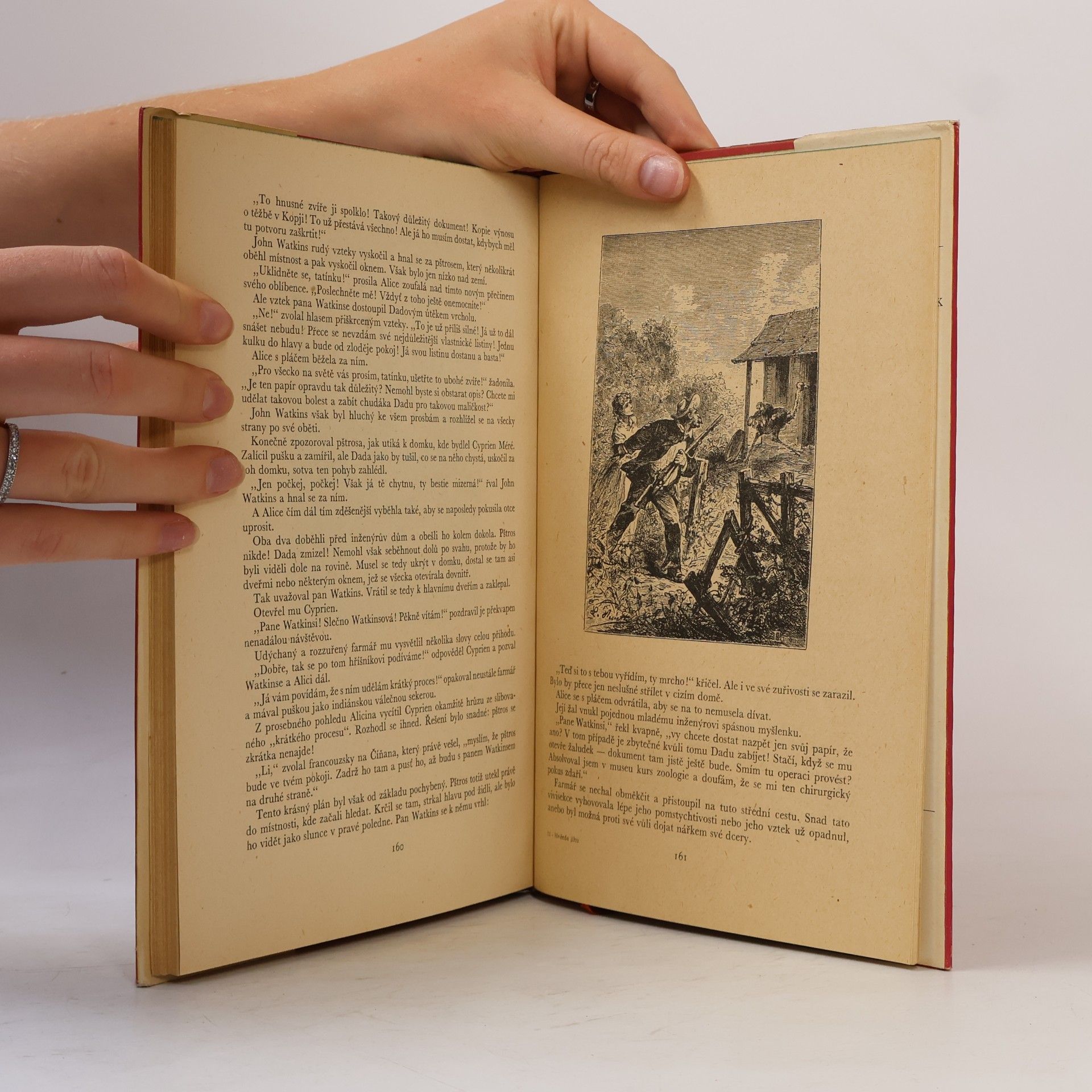 Jules Verne Hvězda jihu