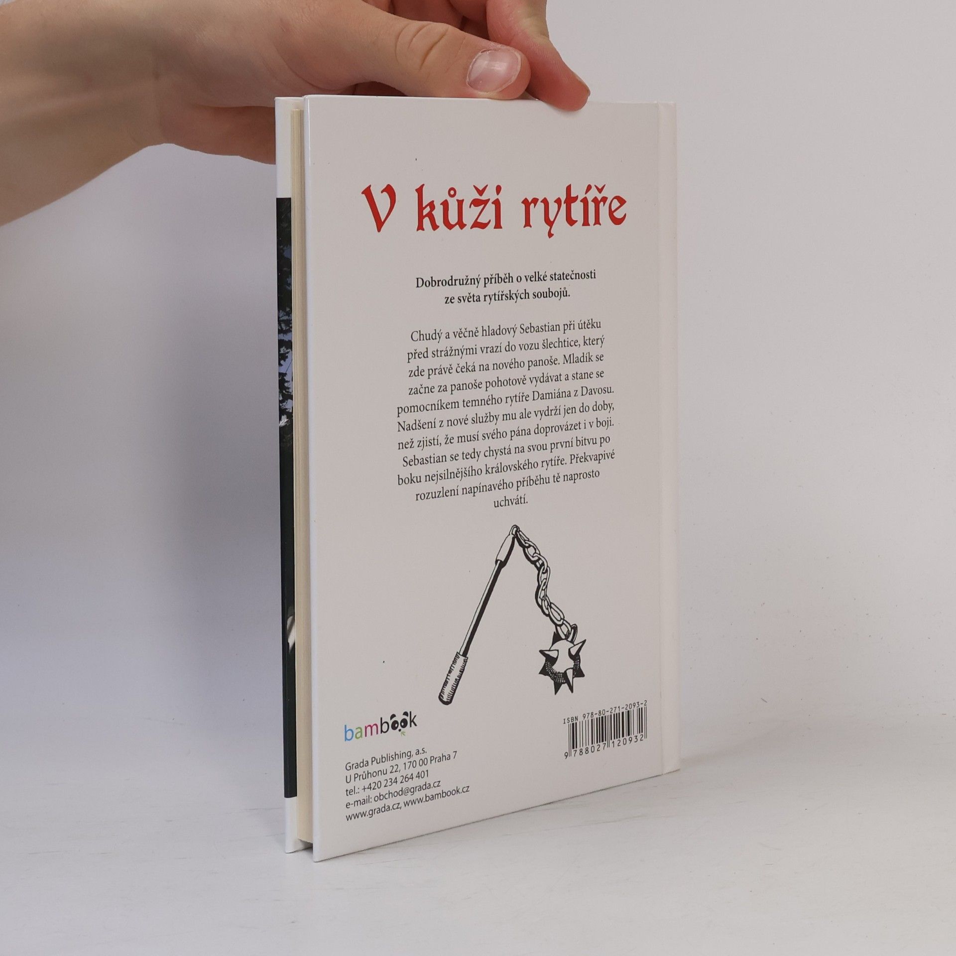 Oldřiška Lišková V kůži rytíře