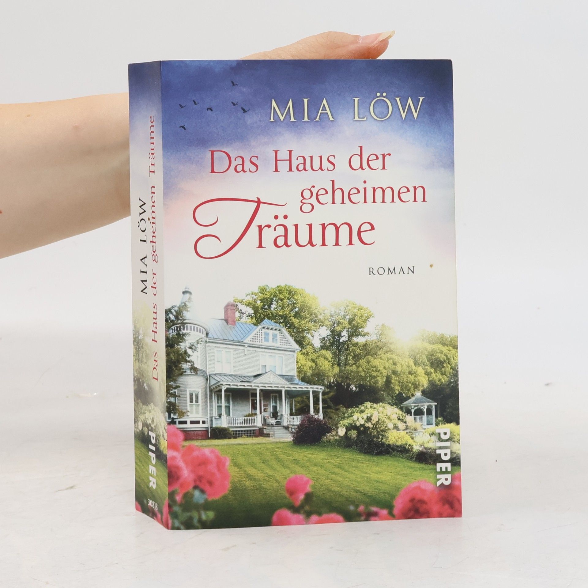 Mia Löw Das Haus der geheimen Träume