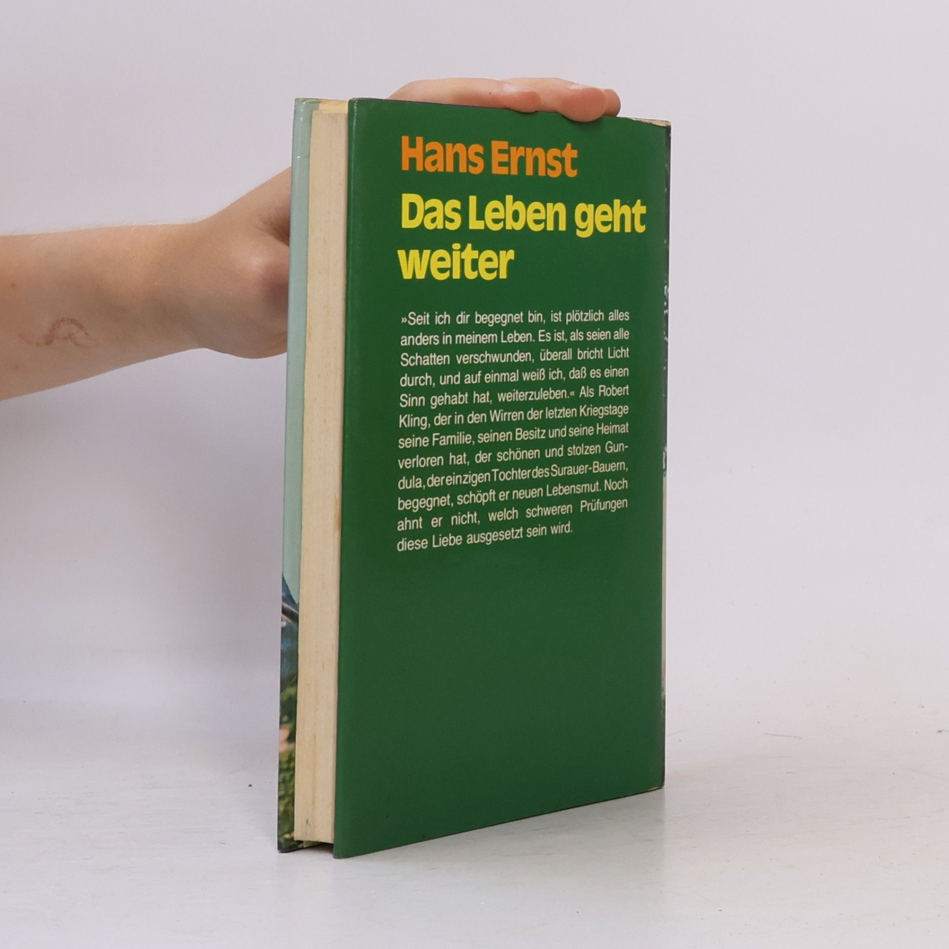Hans-Ernst Schwiete Das Leben geht weiter