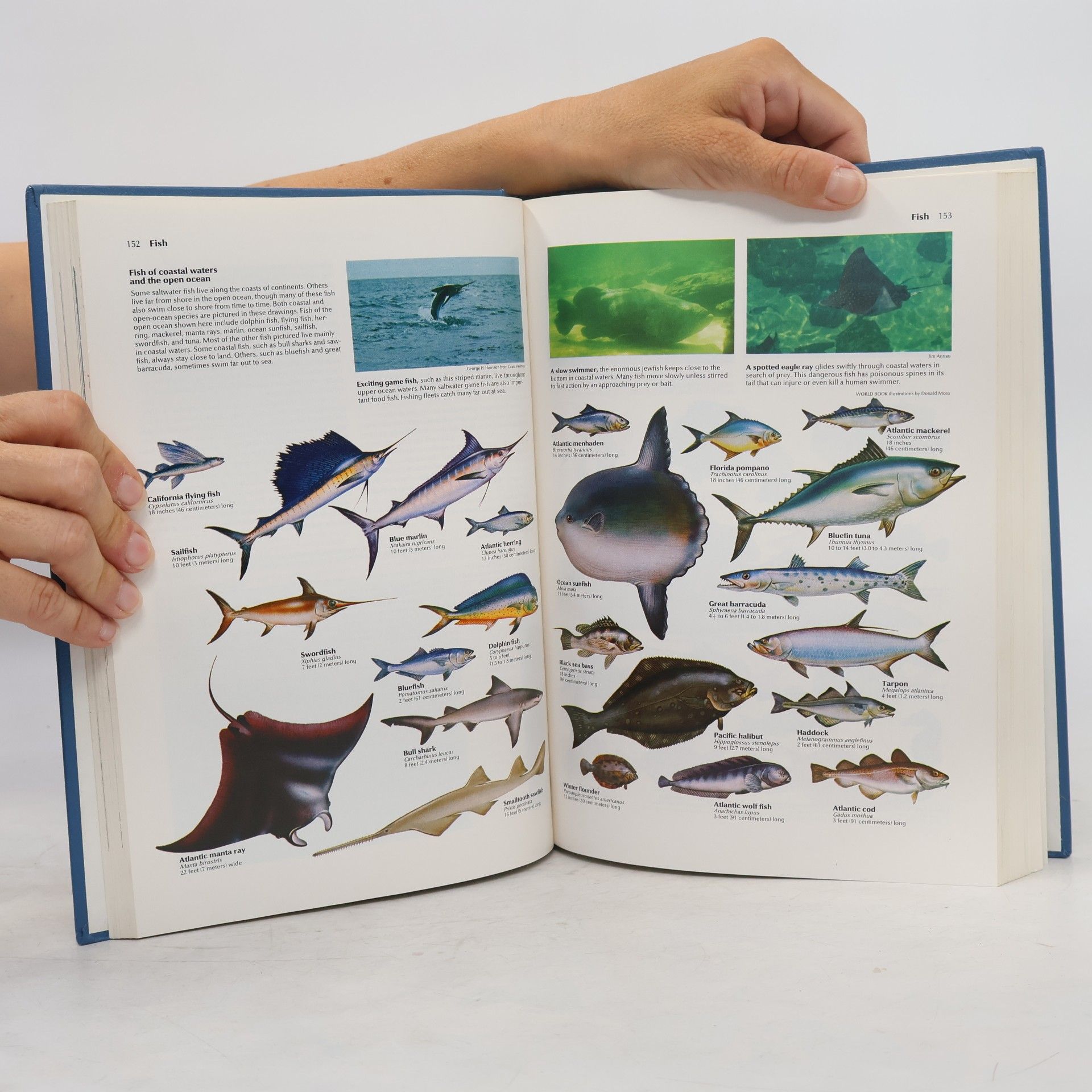 Kolektív autorov The World Book Encyclopedia. Vol. 7