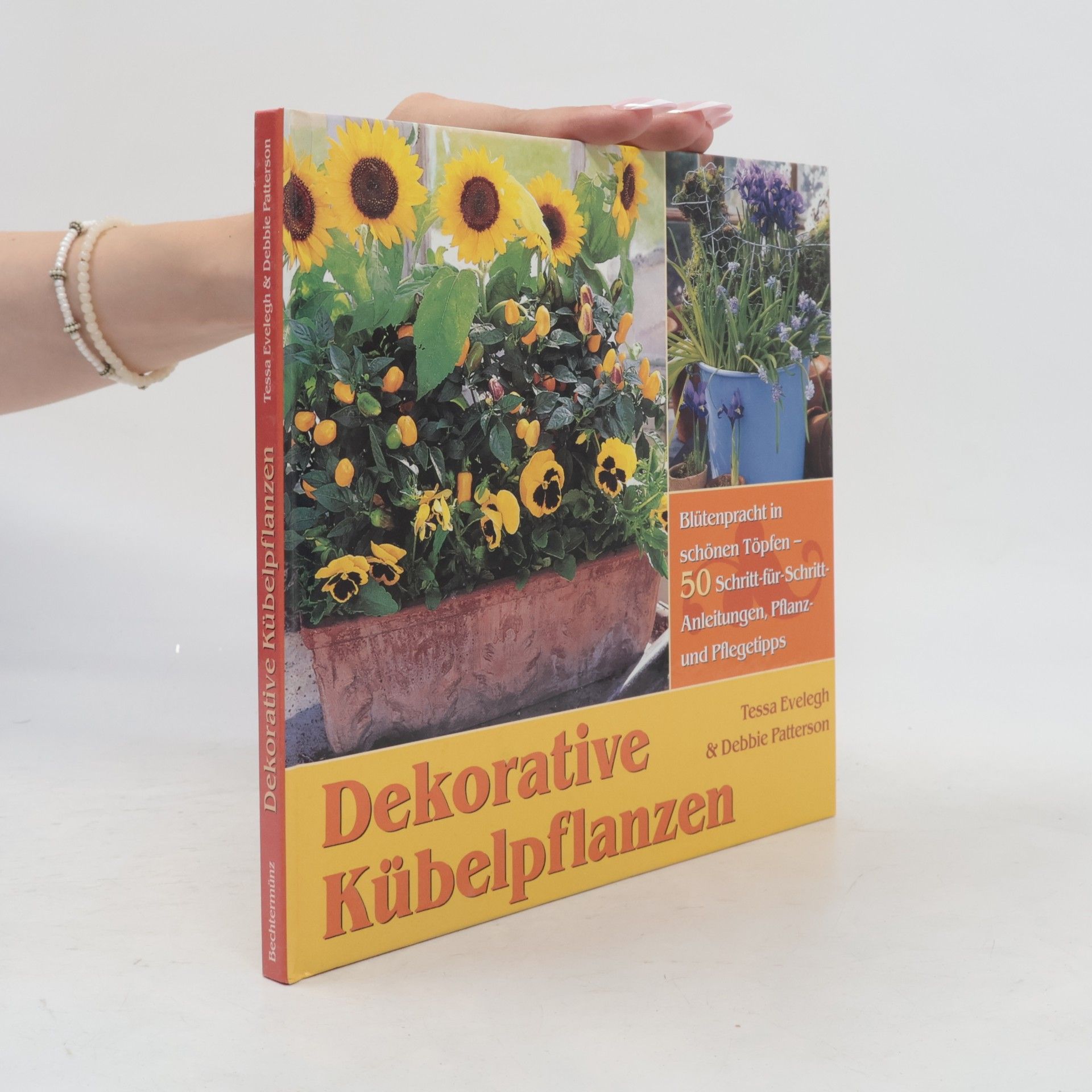 Dekorative Kübelpflanzen