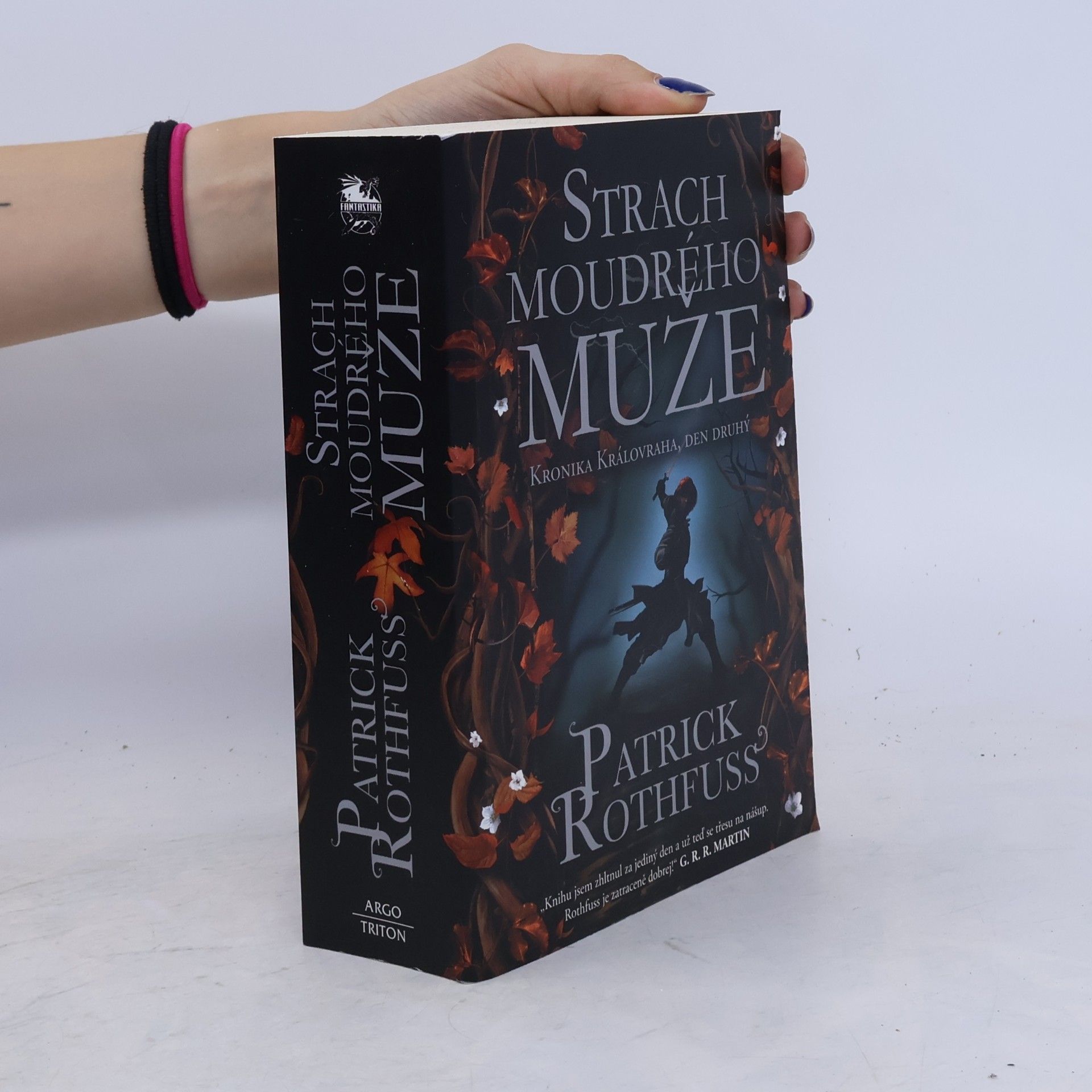 Patrick Rothfuss Strach moudrého muže