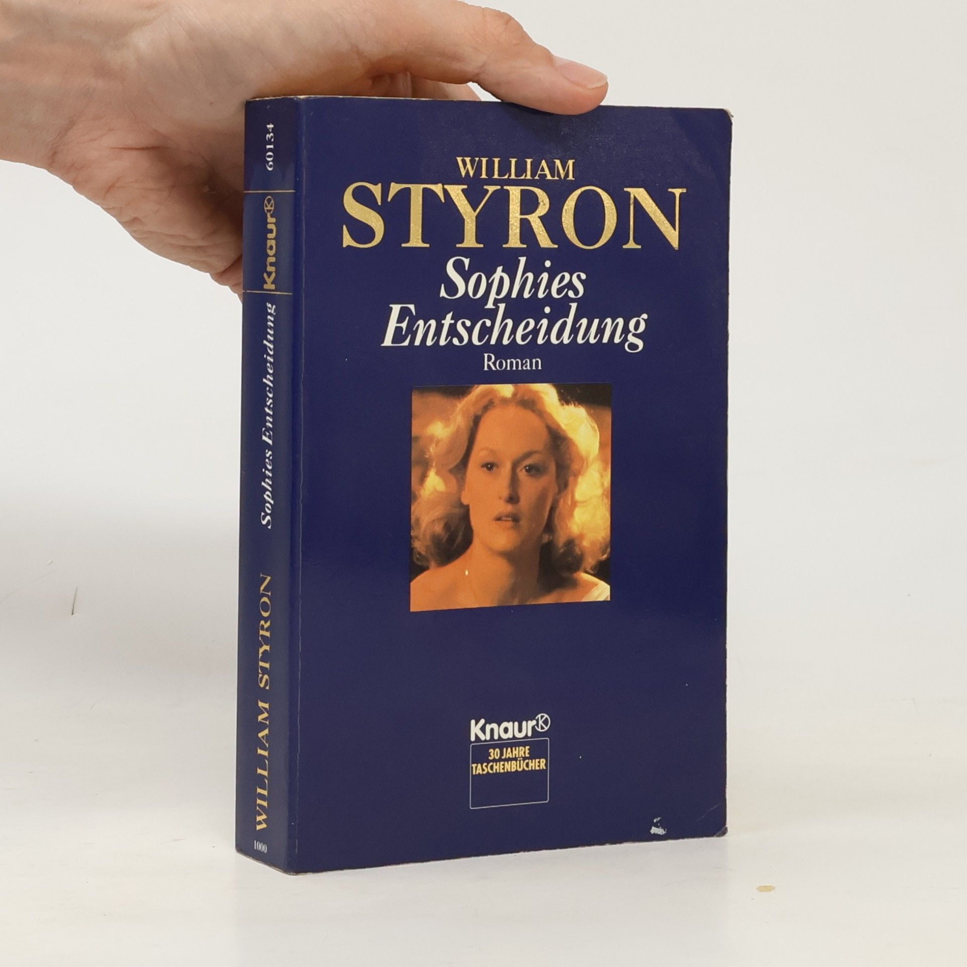 William Styron Sophies entscheidung