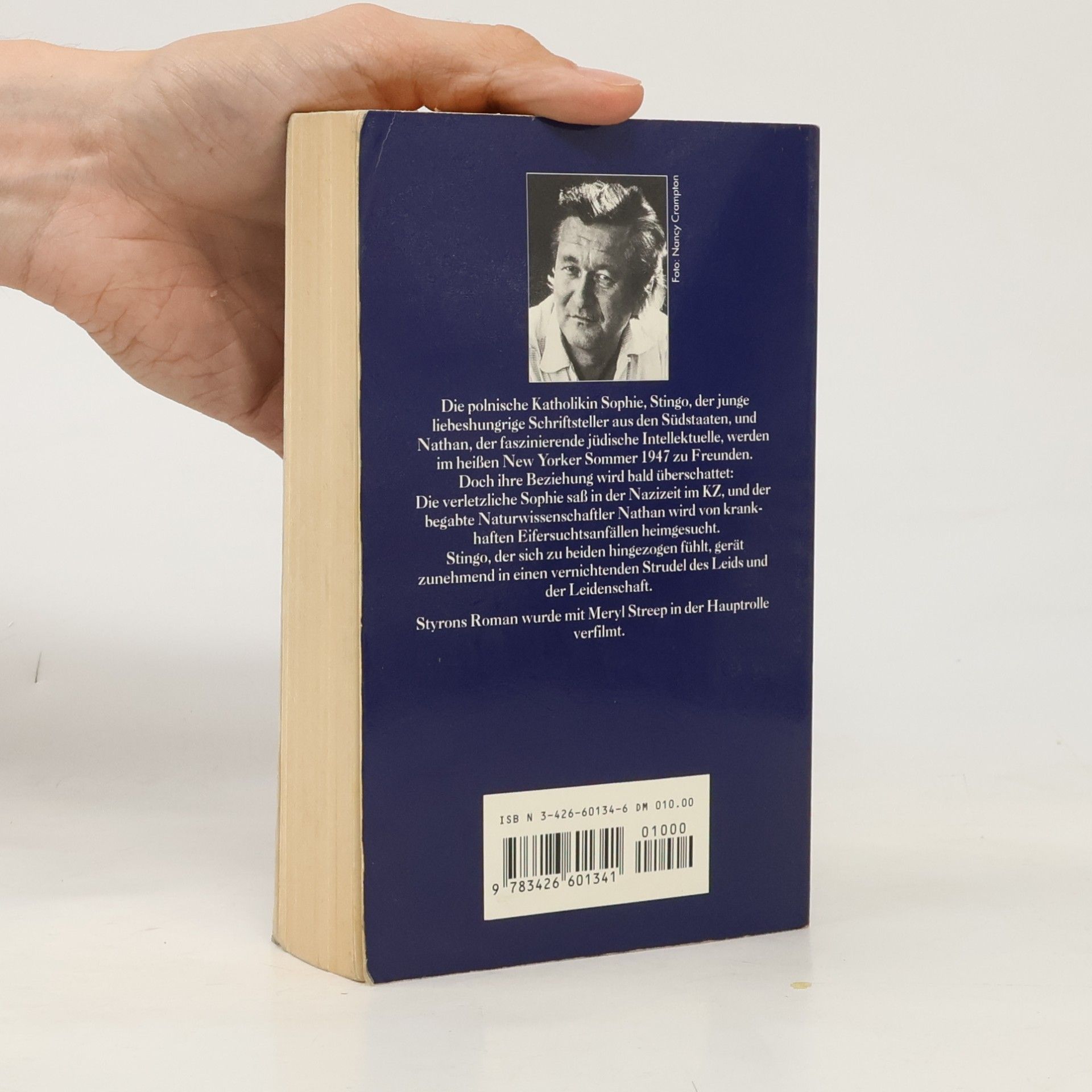 William Styron Sophies entscheidung