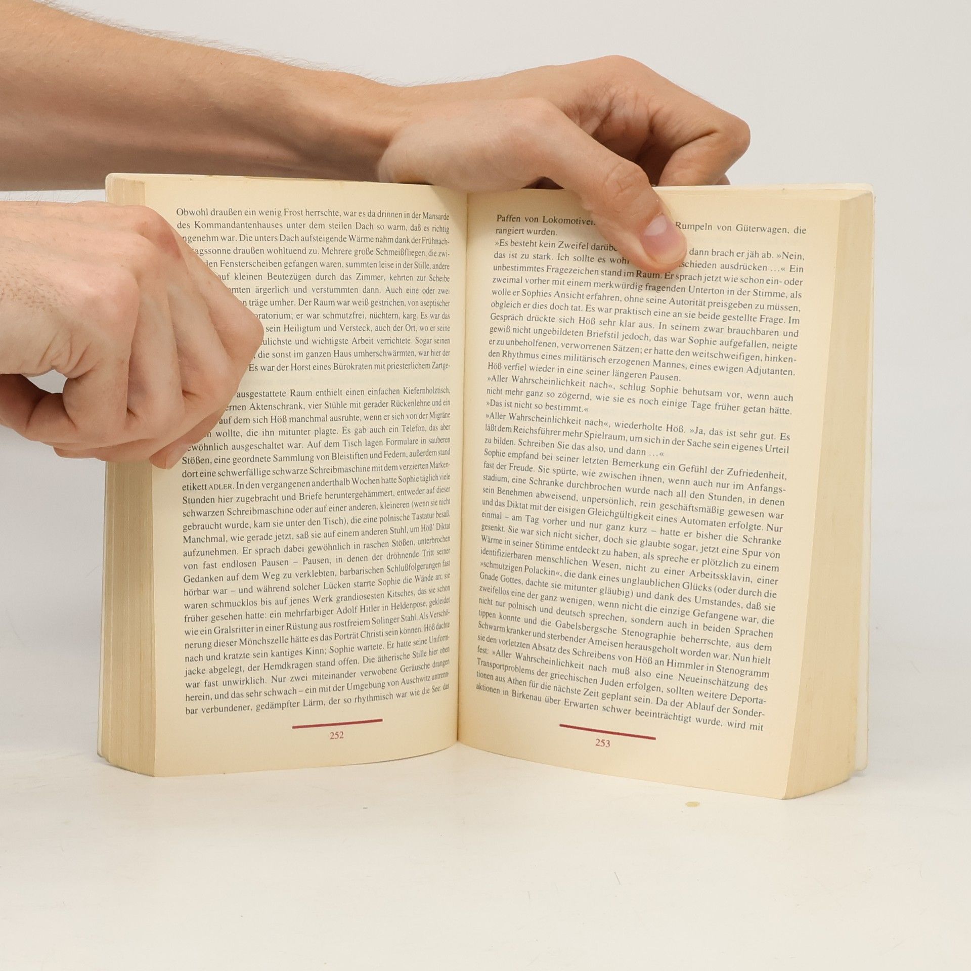 William Styron Sophies entscheidung